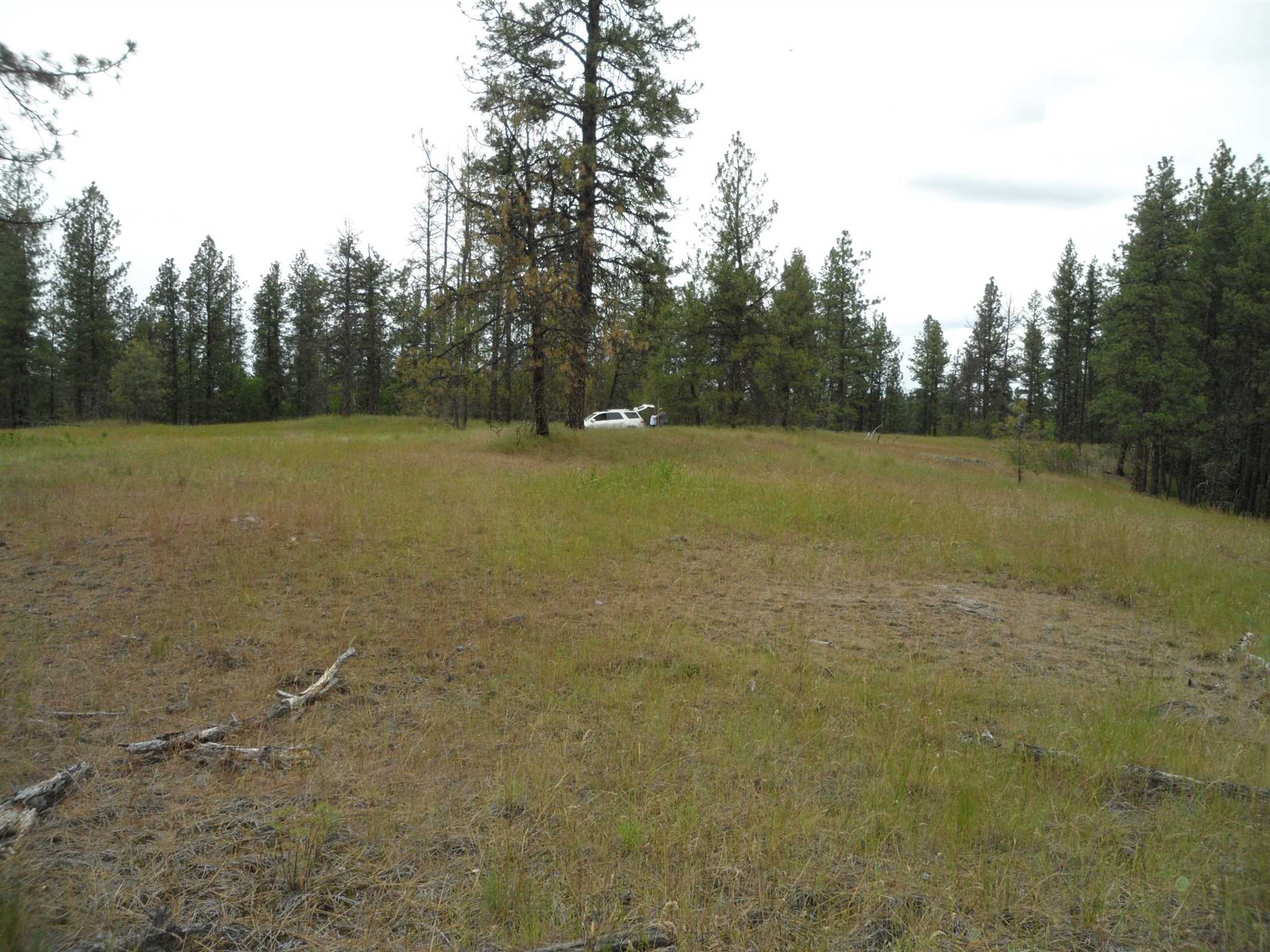 21121 West Salnave Road Cheney, WA 99004 - Photo 7 of 30