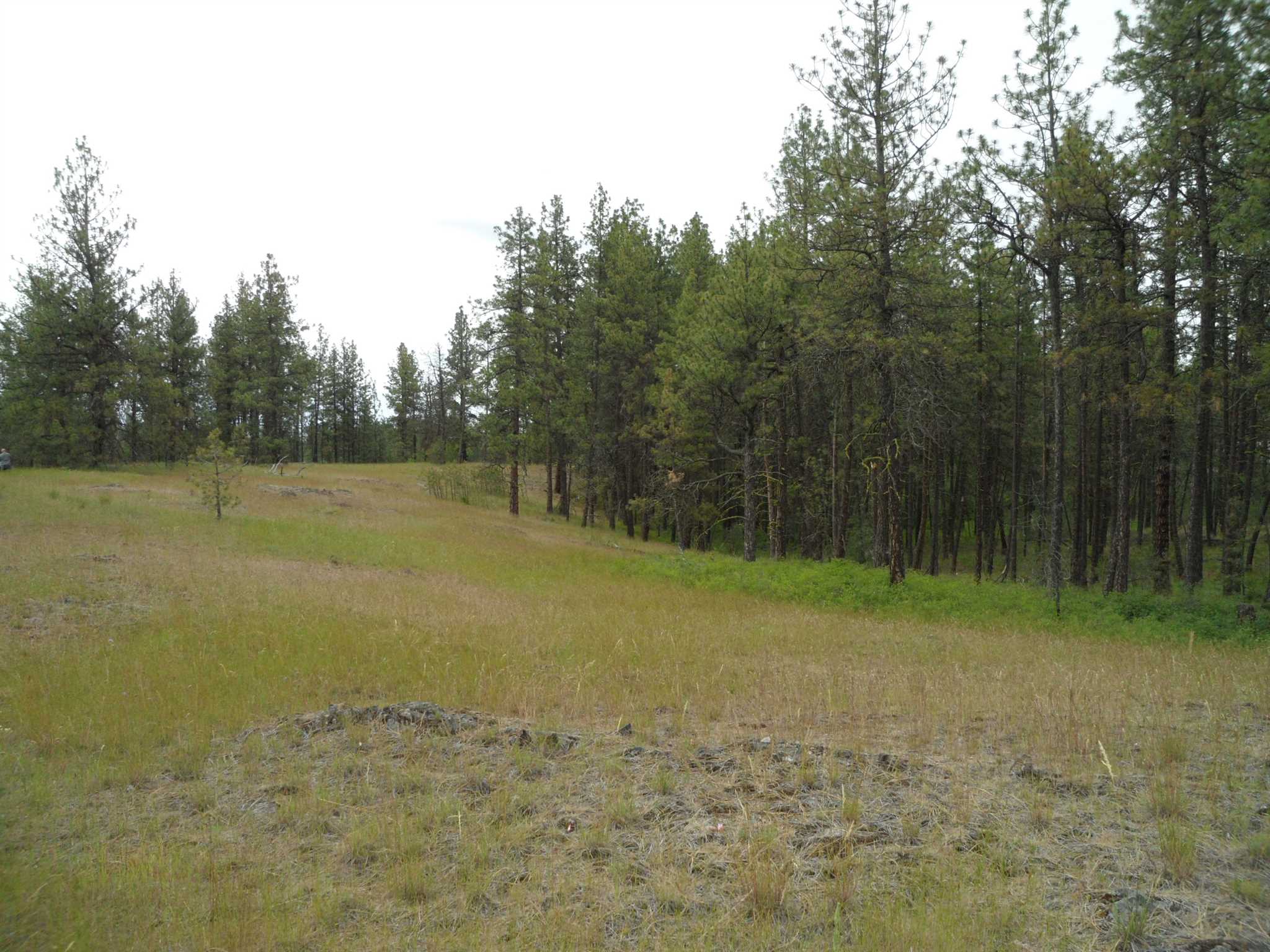 21121 West Salnave Road Cheney, WA 99004 - Photo 9 of 30
