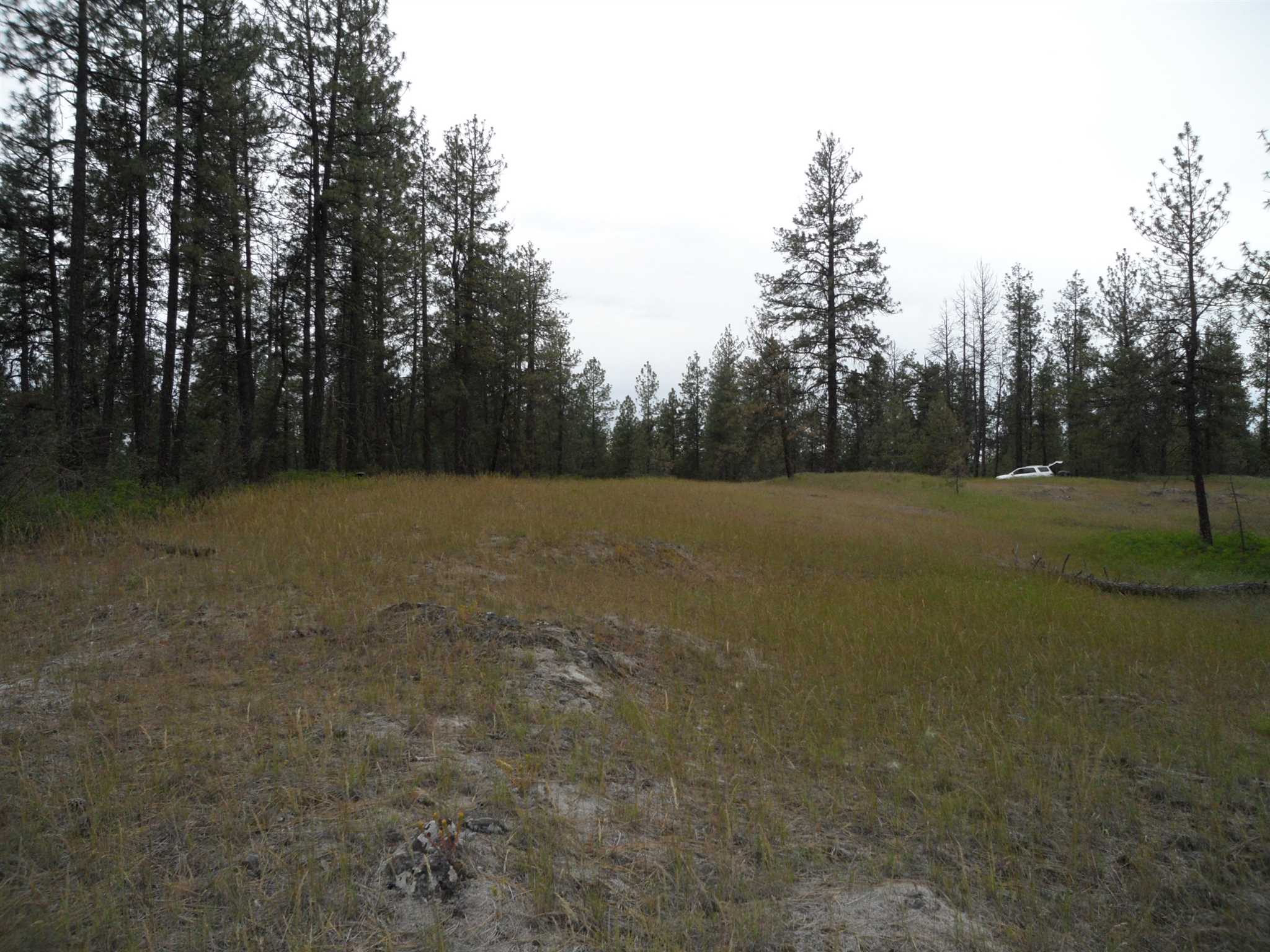 21121 West Salnave Road Cheney, WA 99004 - Photo 10 of 30