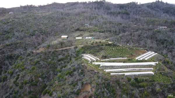 a view of backyard with mountain and trees