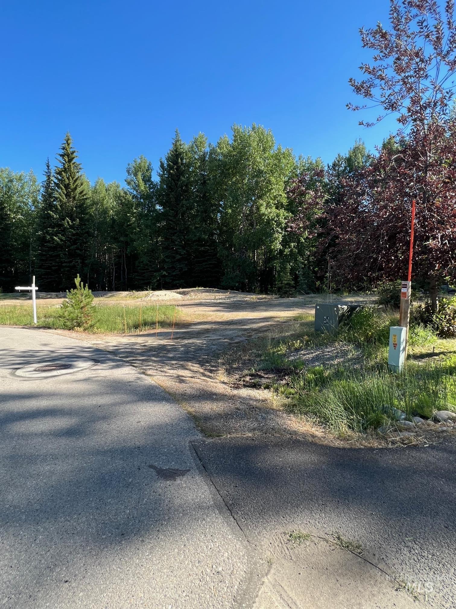 321 Mountain Cove Court McCall, ID 83638 - Photo 29 of 43
