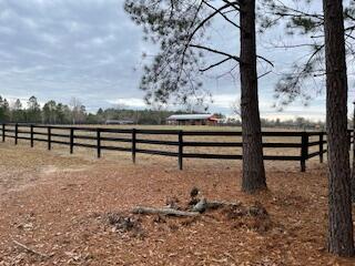 7.8-acres Deer Stand Road Wagener, SC 29164 - Photo 4 of 14