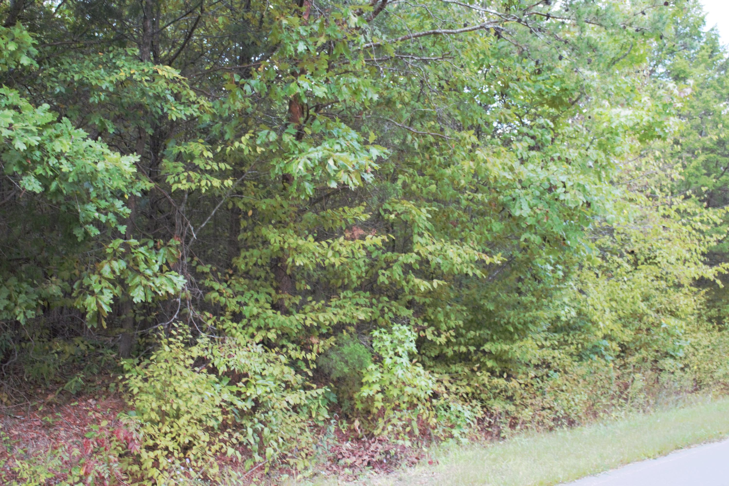 Lot Ball Play Road Old Fort, TN 37362 - Photo 4 of 5 IMG_0287 (2)