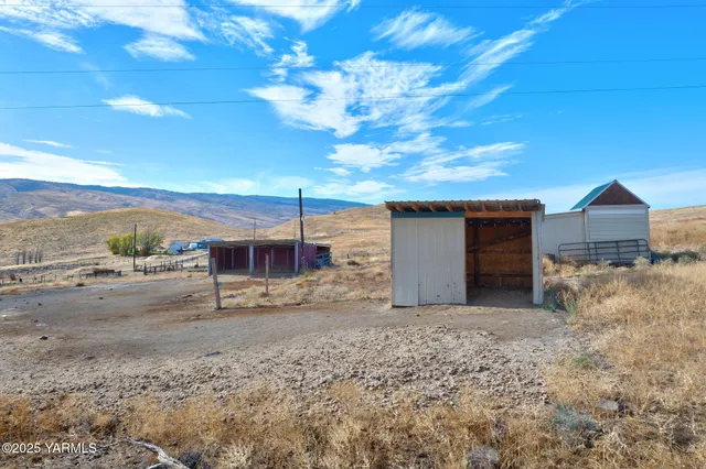 a view of a yard with a tree