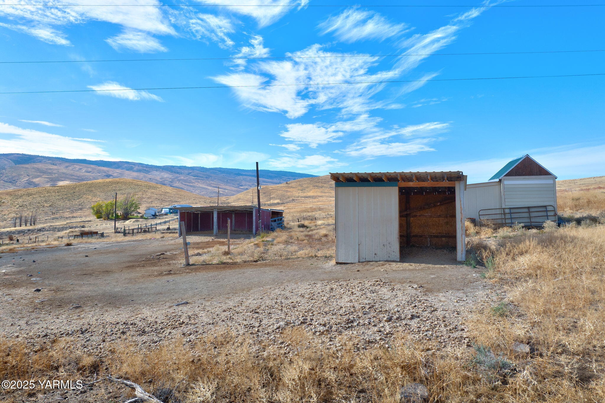 1101 Elk Ridge Lane Selah, WA 98942 - Photo 5 of 28 a view of a yard with a tree
