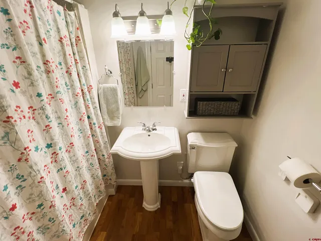 a bathroom with a sink and a toilet