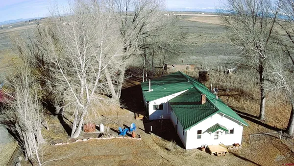 a view of a yard