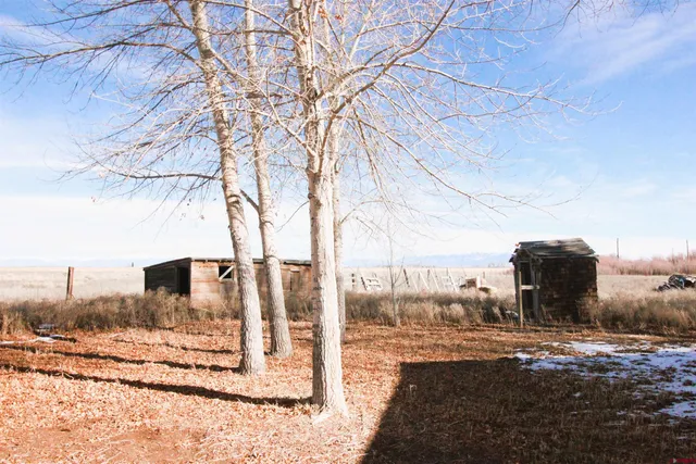 a view of a road with a snow on the road