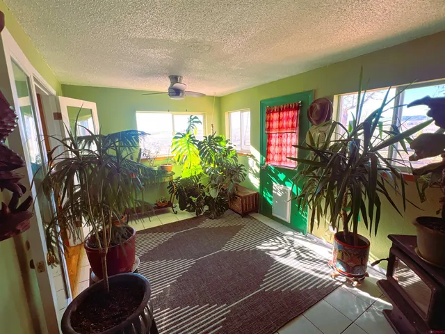 a potted plant sitting in front of a house