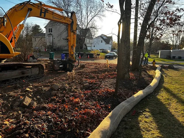 a view of a park with large trees