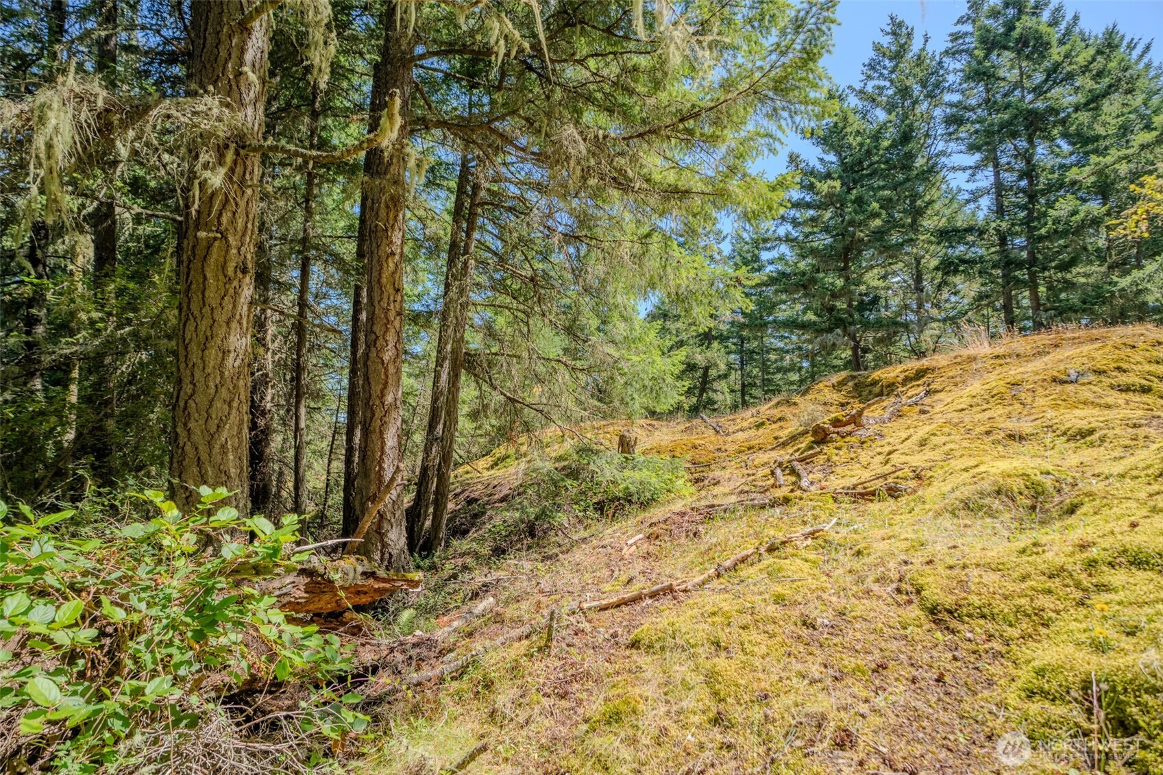 678 Swan Road Orcas Island, WA 98245 - Photo 20 of 39