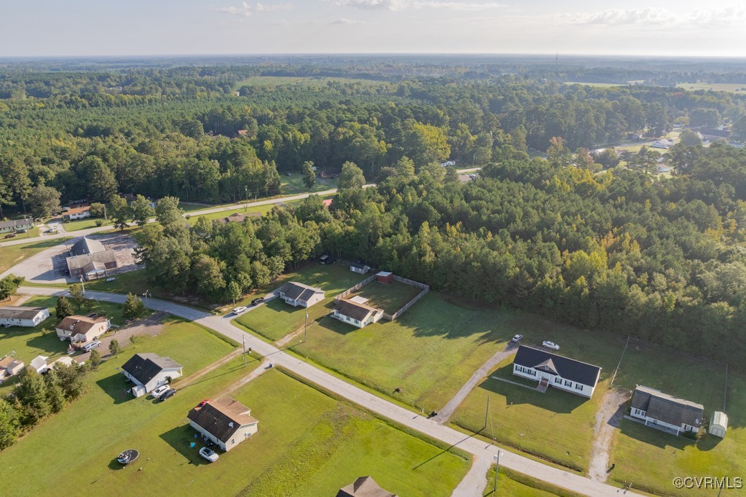 96 Horseshoe Road Jarratt, VA 23867 - Photo 34 of 36 Aerial view