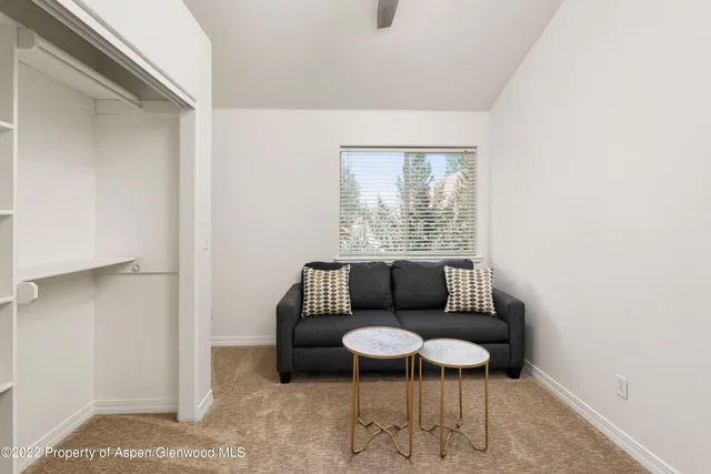 a living room with furniture a rug and a window