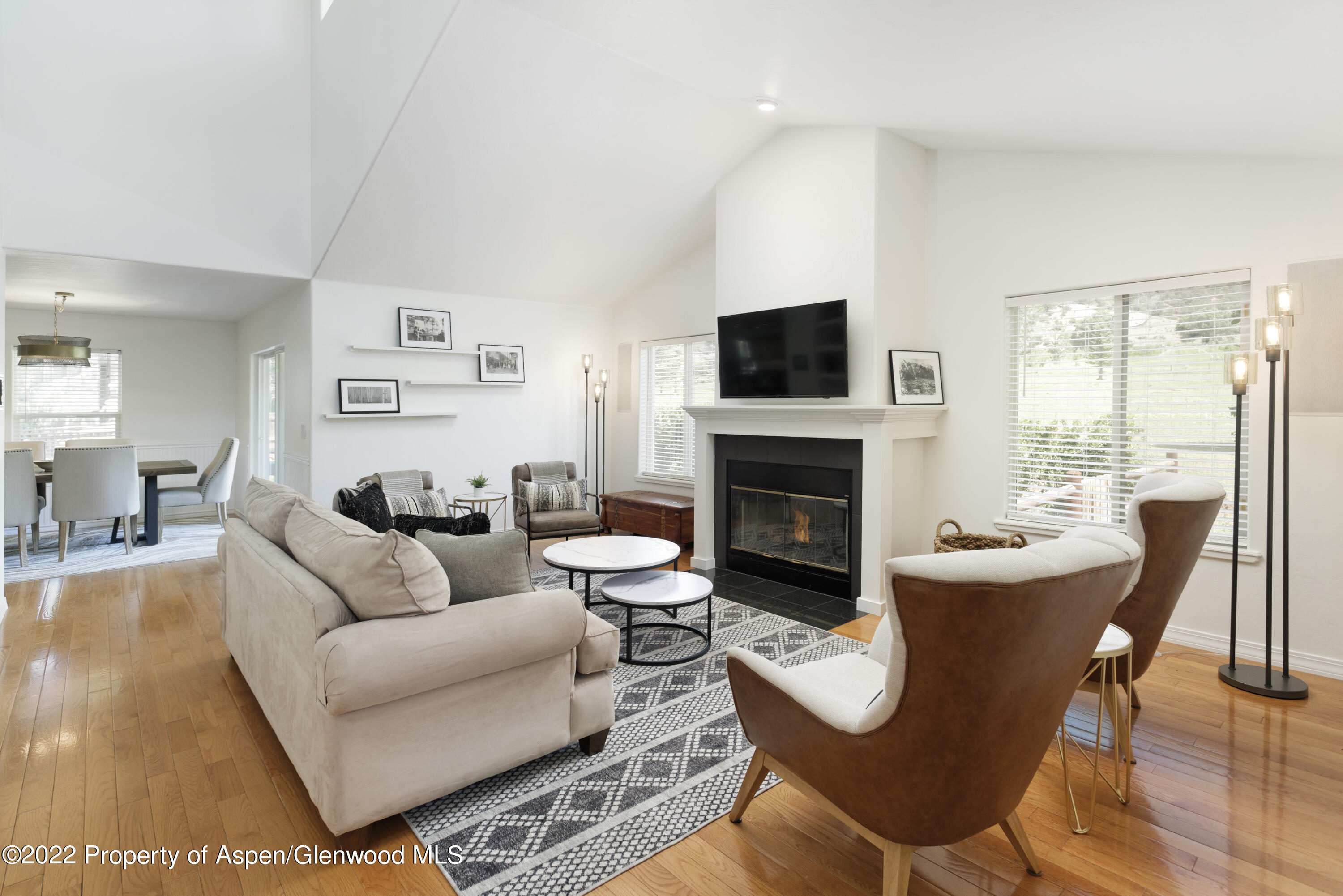 965 Lupine Circle Basalt, CO 81621 - Photo 6 of 31 a living room with furniture a flat screen tv and a fireplace