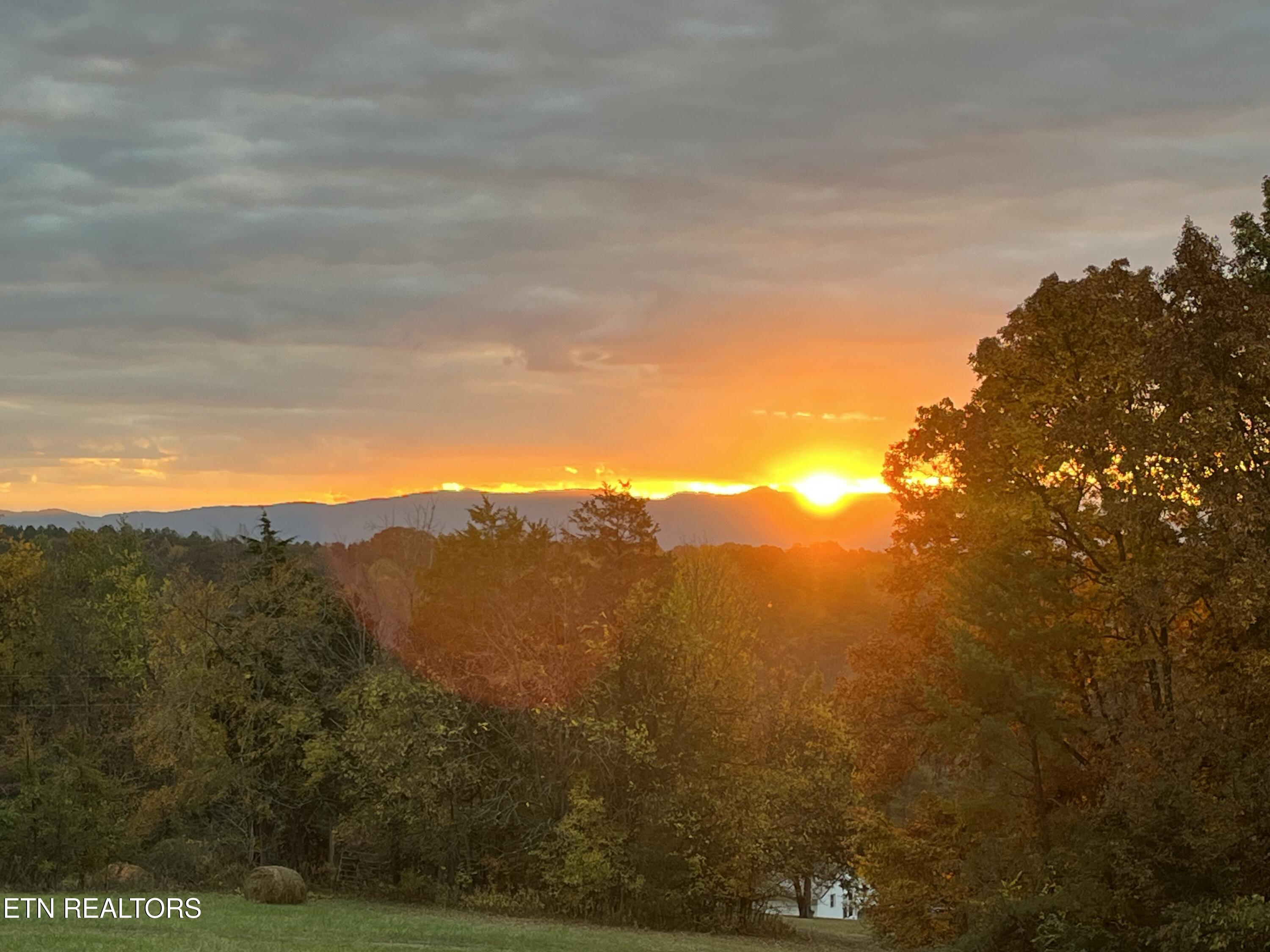 6239 North Trigonia Road Greenback, TN 37742 - Photo 11 of 50 IMG_20250930_133927