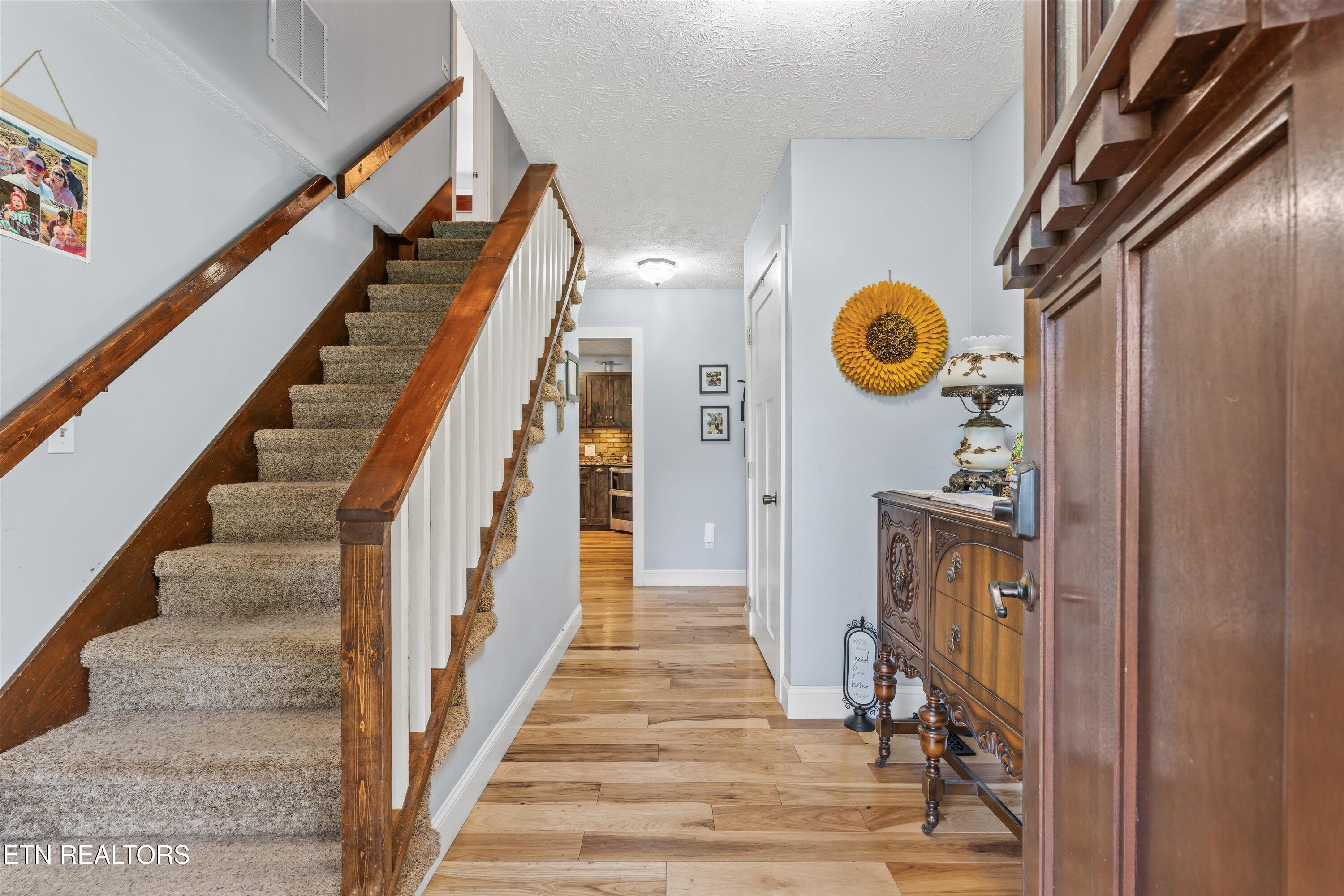 6239 North Trigonia Road Greenback, TN 37742 - Photo 12 of 50 Foyer