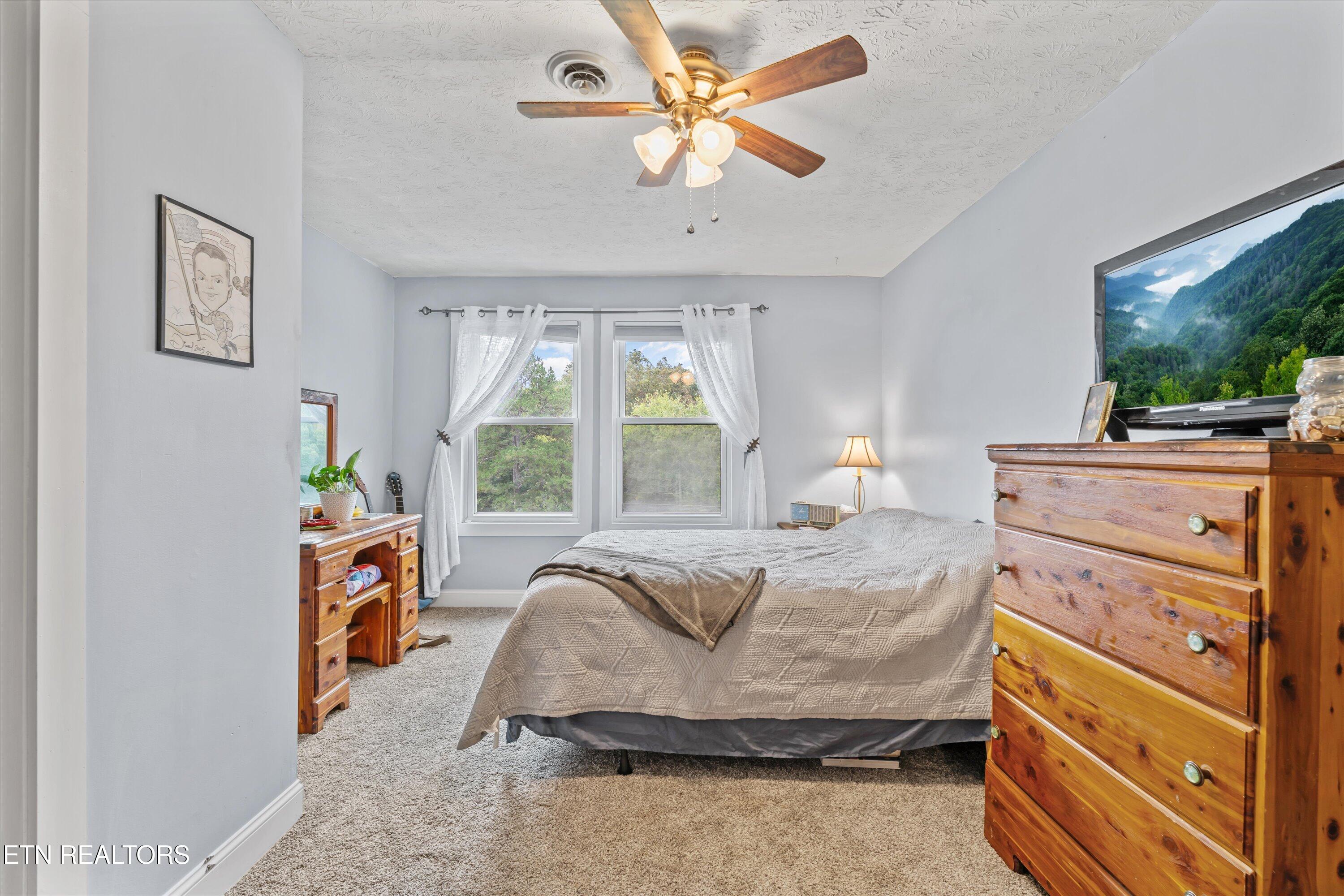 6239 North Trigonia Road Greenback, TN 37742 - Photo 25 of 50 Bedroom 2