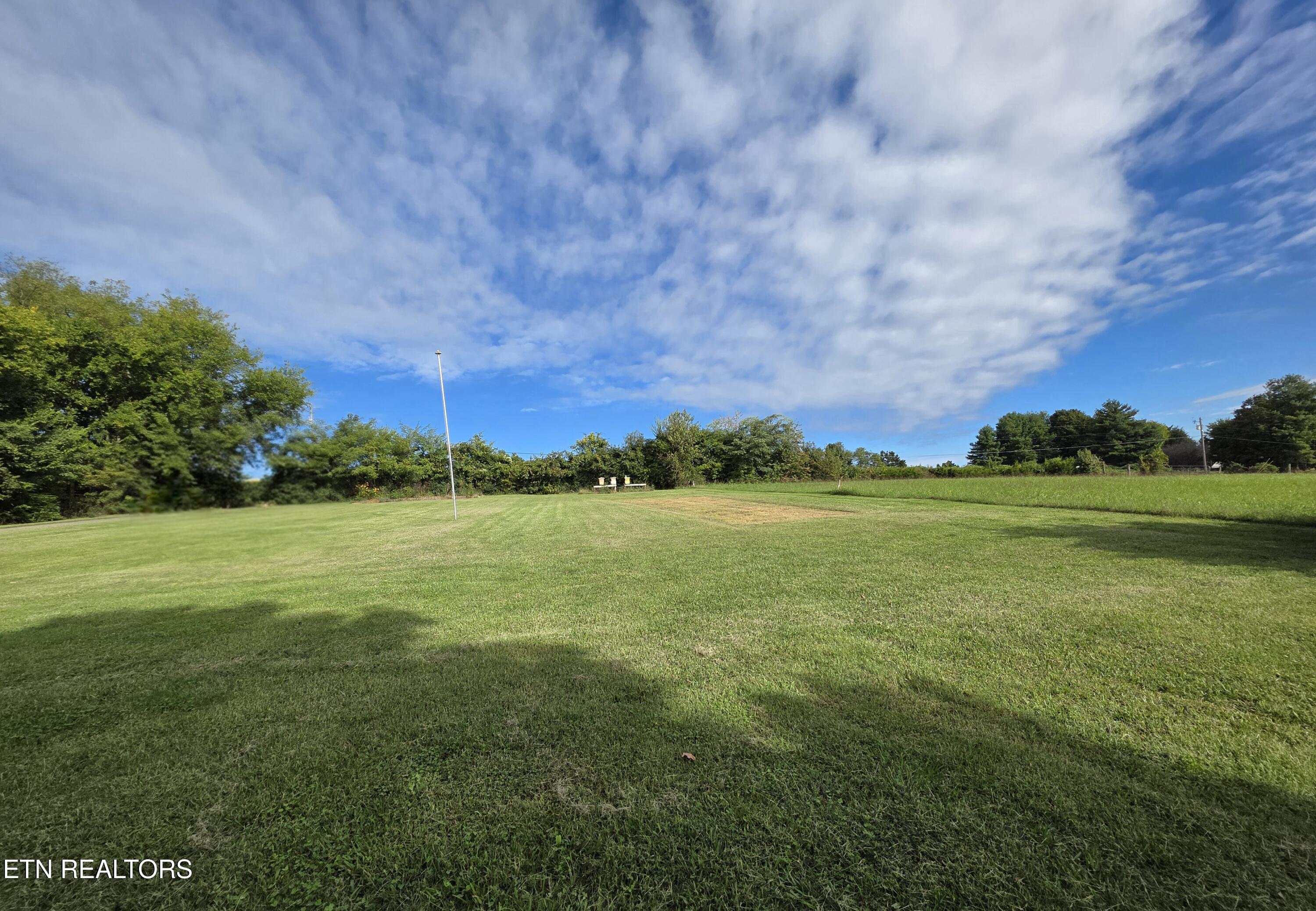6239 North Trigonia Road Greenback, TN 37742 - Photo 4 of 50 Front Yard