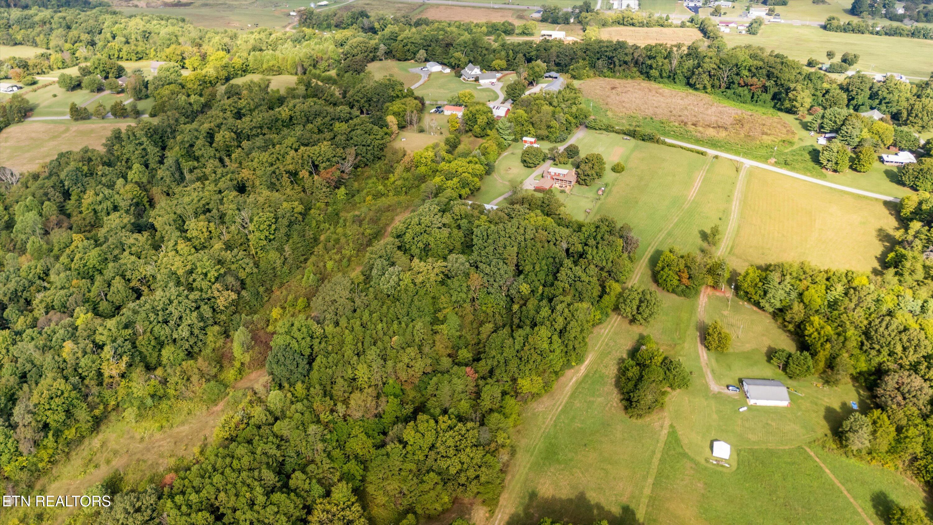 6239 North Trigonia Road Greenback, TN 37742 - Photo 44 of 50 39-6239 N Trigonia Rd 37