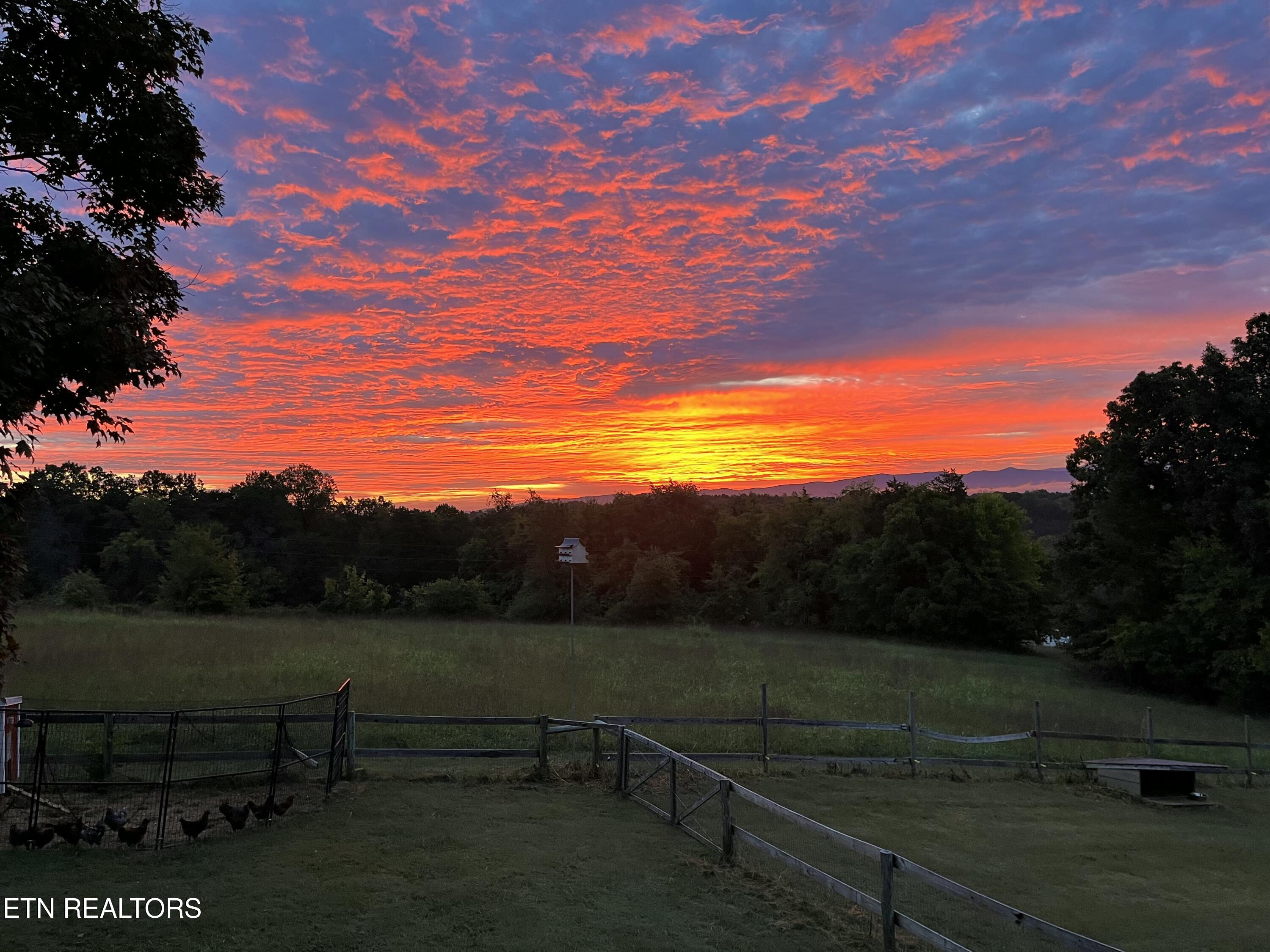 6239 North Trigonia Road Greenback, TN 37742 - Photo 46 of 50 Gorgeous Sunrise over the Mountains