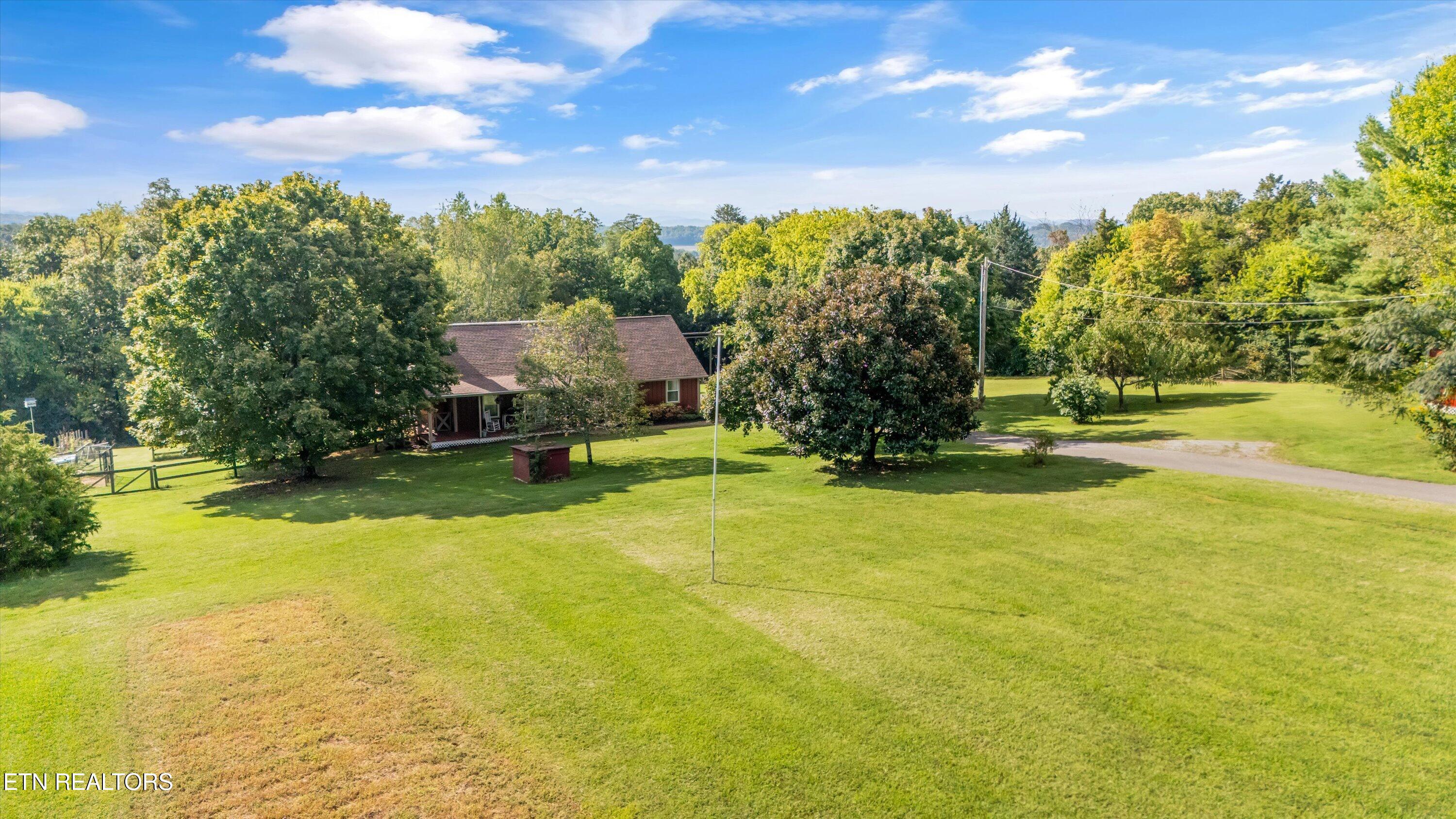 6239 North Trigonia Road Greenback, TN 37742 - Photo 5 of 50 35-6239 N Trigonia Rd 41