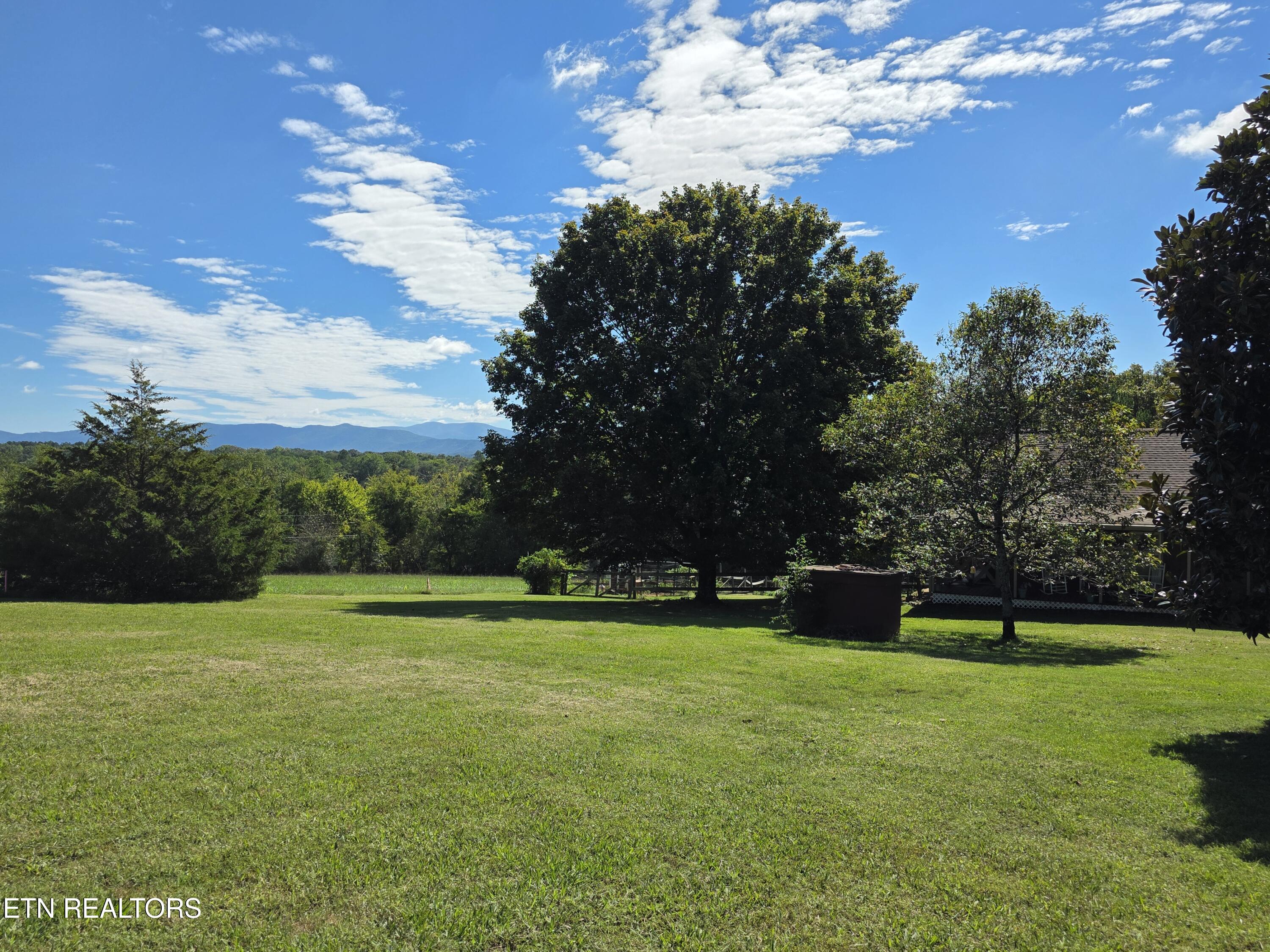 6239 North Trigonia Road Greenback, TN 37742 - Photo 6 of 50 Gorgeous View