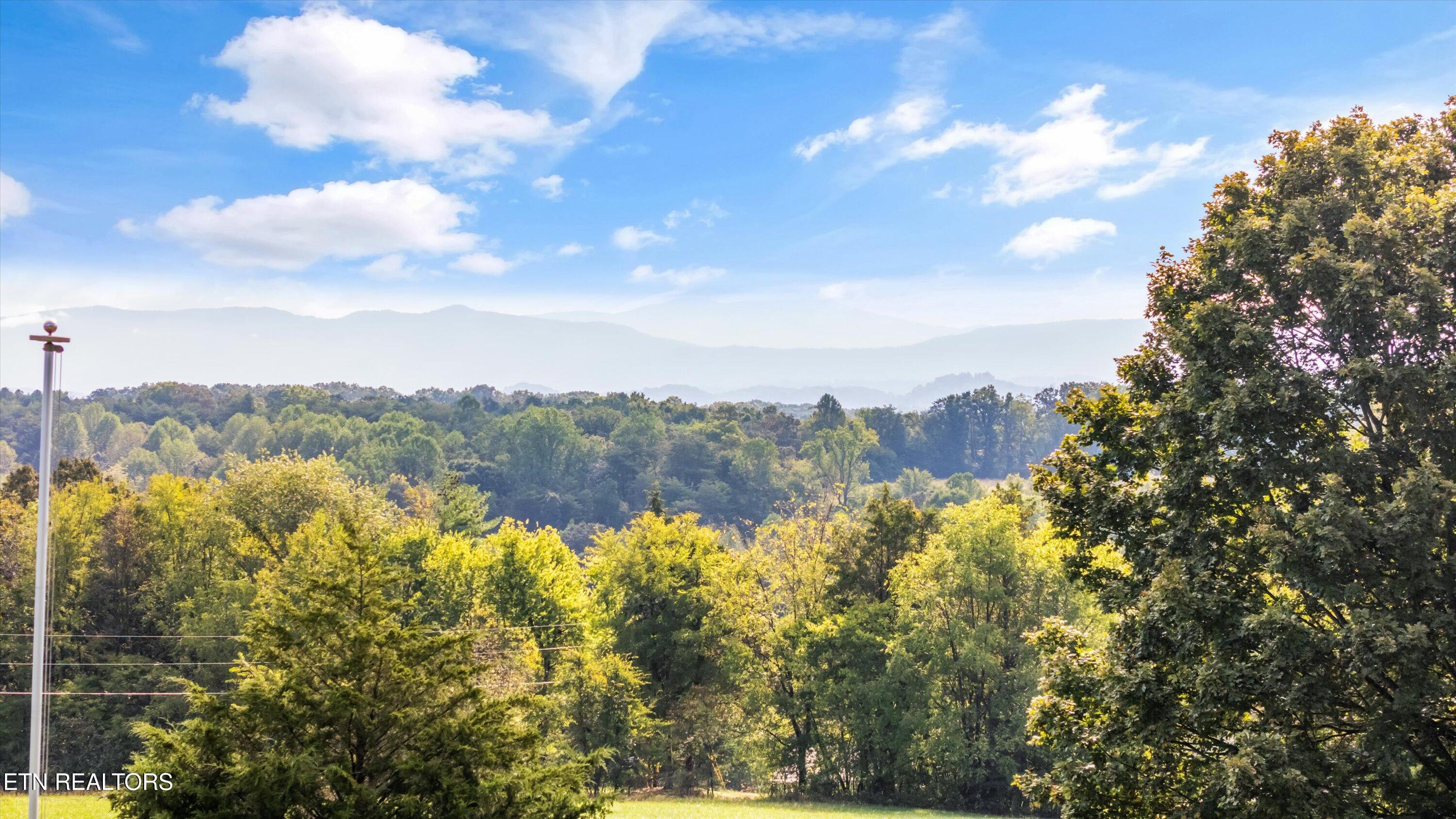 6239 North Trigonia Road Greenback, TN 37742 - Photo 7 of 50 36-6239 N Trigonia Rd 40