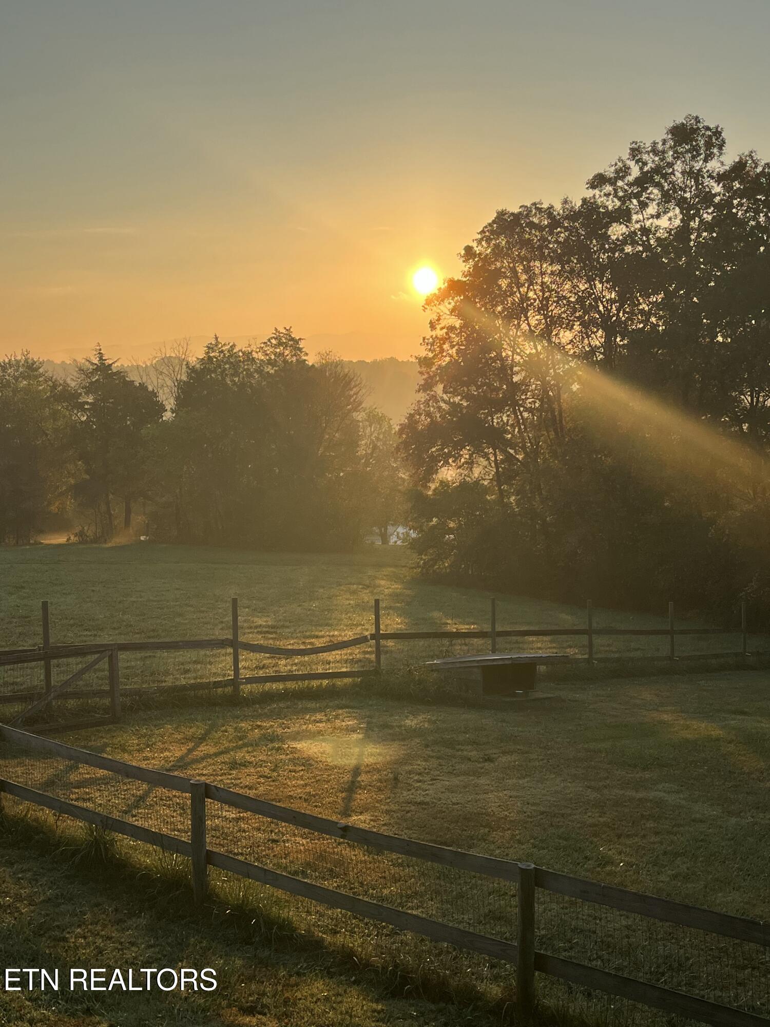 6239 North Trigonia Road Greenback, TN 37742 - Photo 10 of 50 Sunrise from the Porch