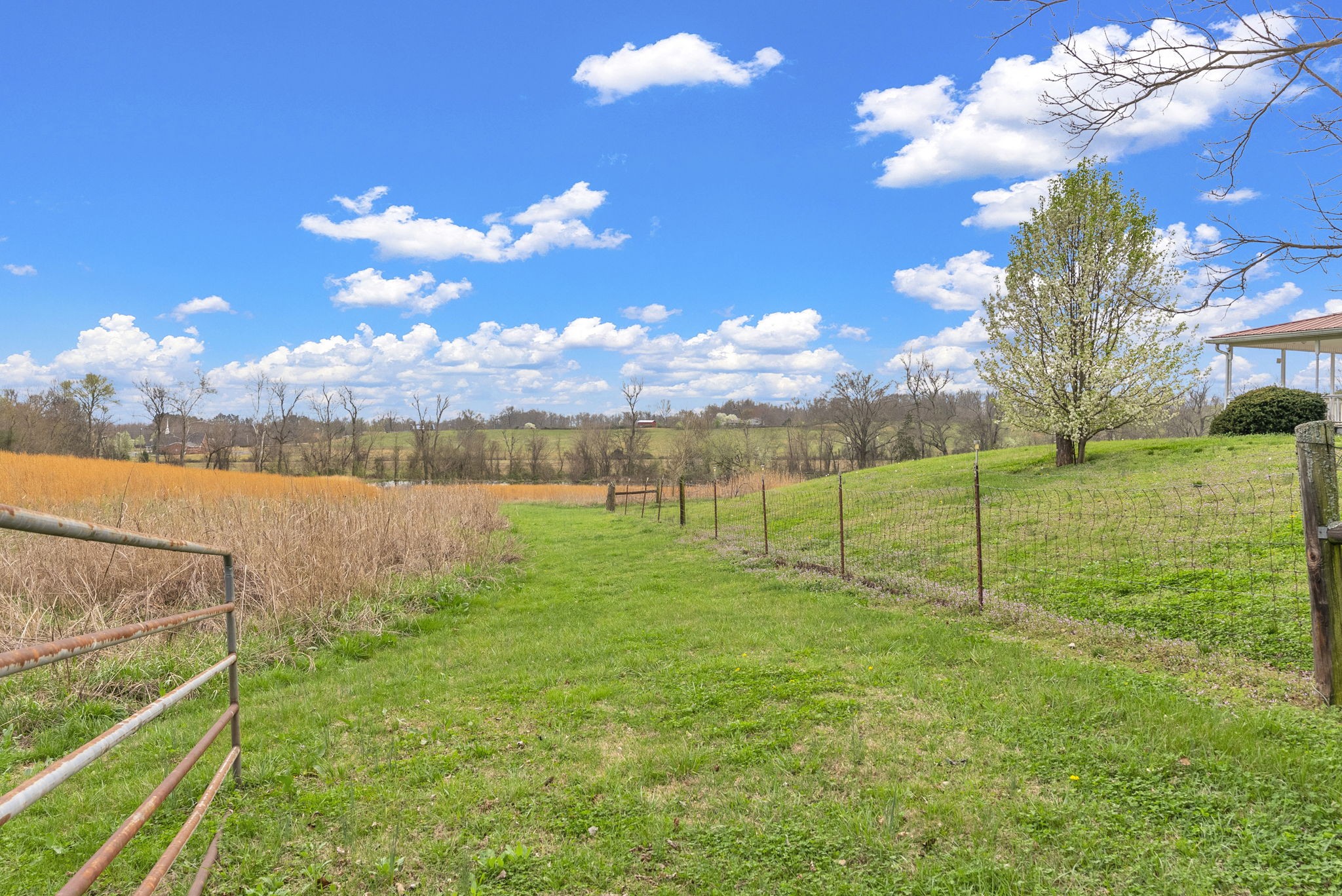 6907 Short Mountain Road Woodbury, TN 37190 - Photo 23 of 38