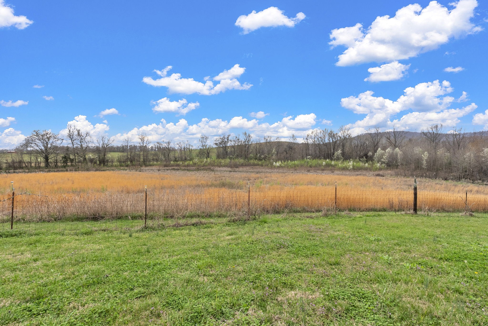 6907 Short Mountain Road Woodbury, TN 37190 - Photo 24 of 38