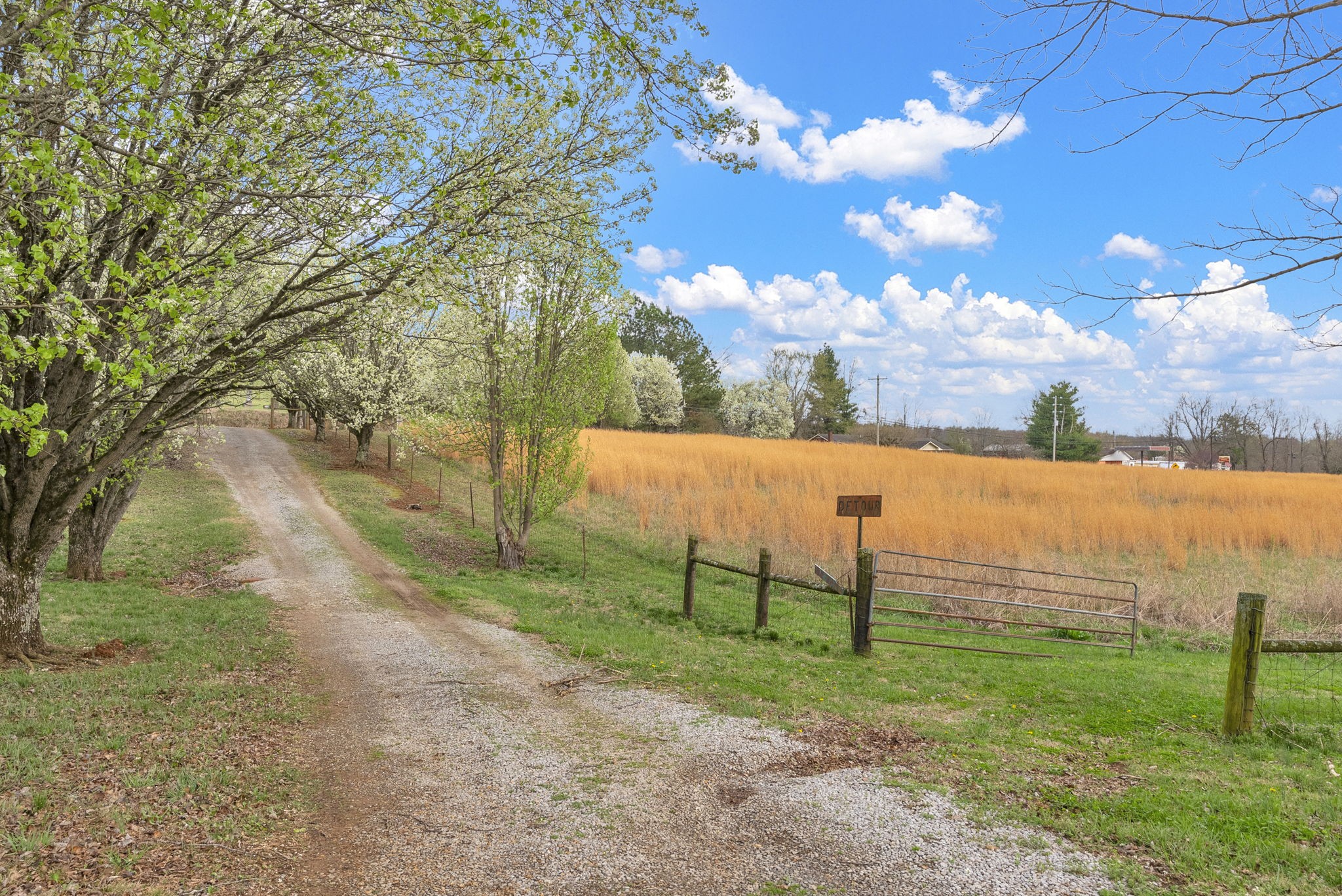 6907 Short Mountain Road Woodbury, TN 37190 - Photo 25 of 38