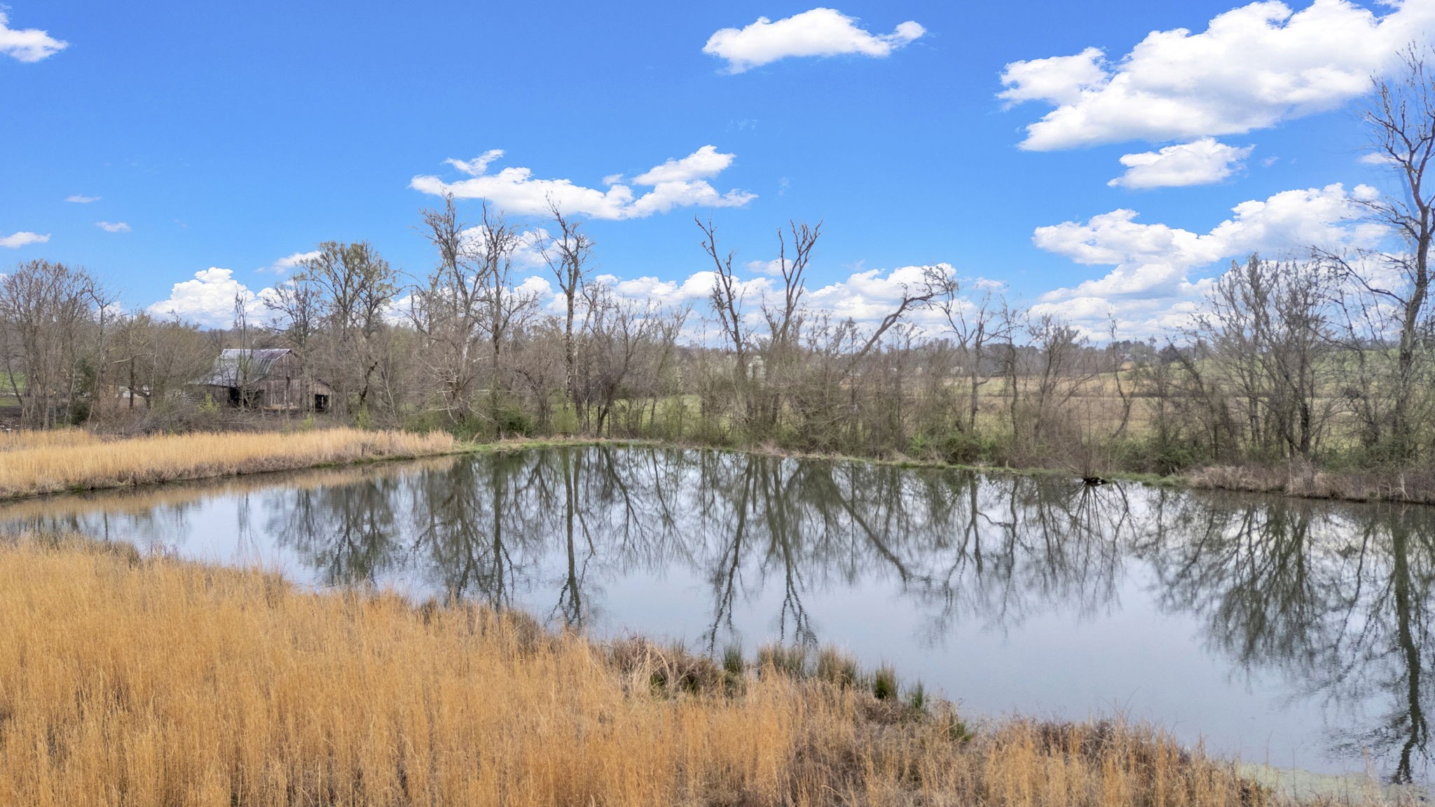 6907 Short Mountain Road Woodbury, TN 37190 - Photo 27 of 38