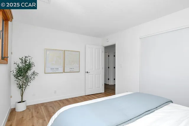 a bedroom with a large bed and a potted plant