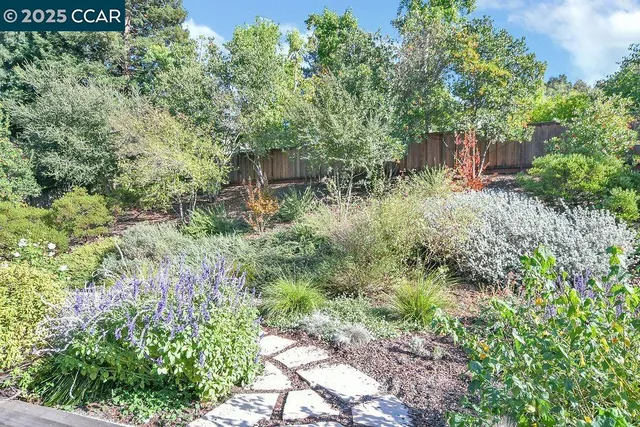 a view of a backyard with garden