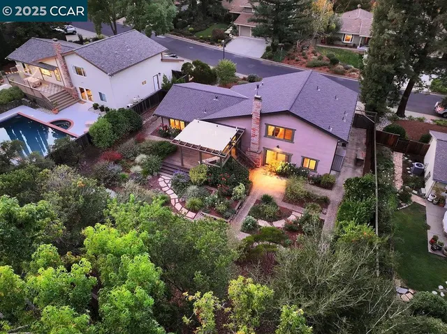 a view of a bunch of flowers