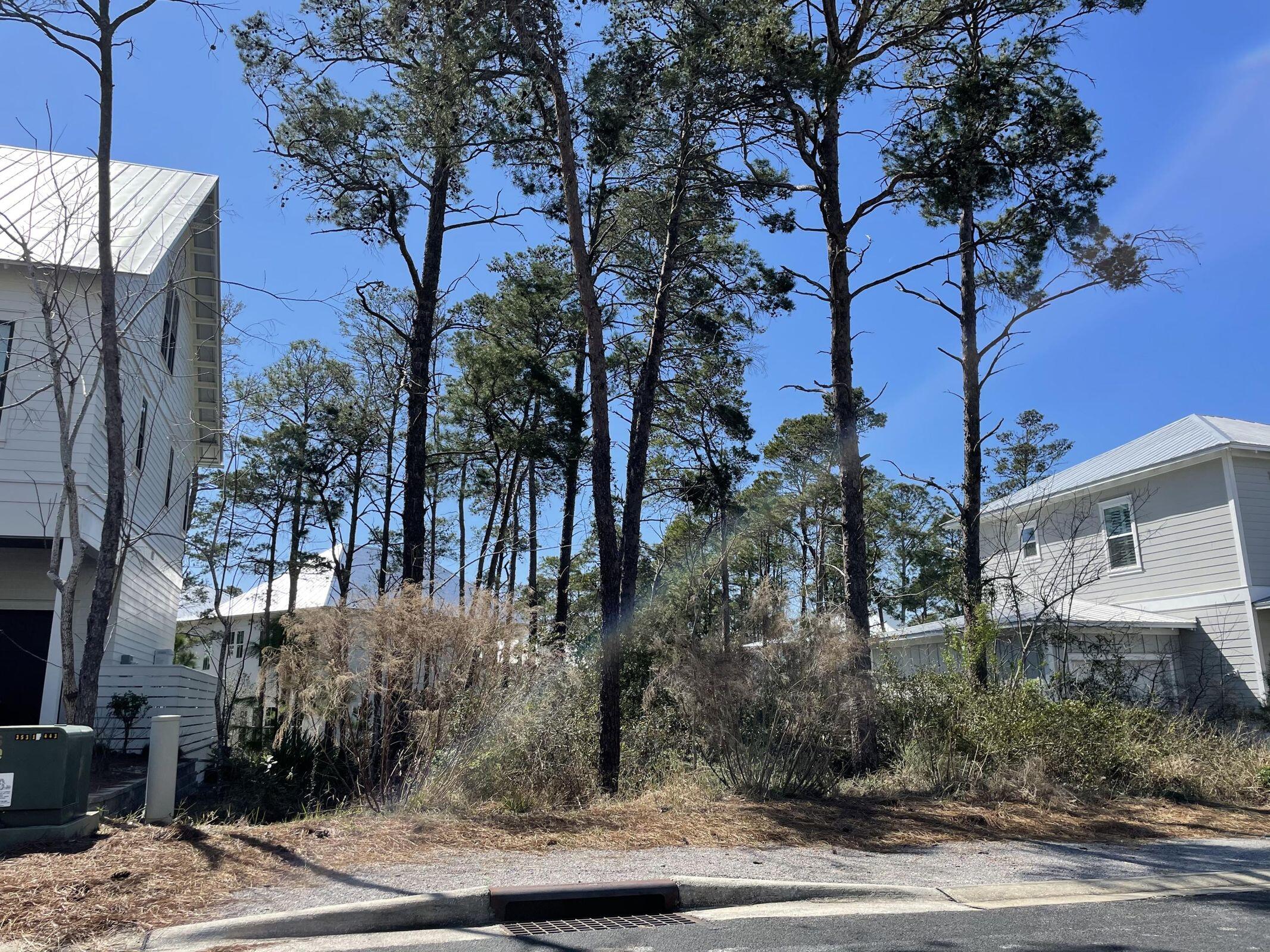 51 Ibis Drive Santa Rosa Beach, FL 32459 - Photo 3 of 4 Lakeside lot #51