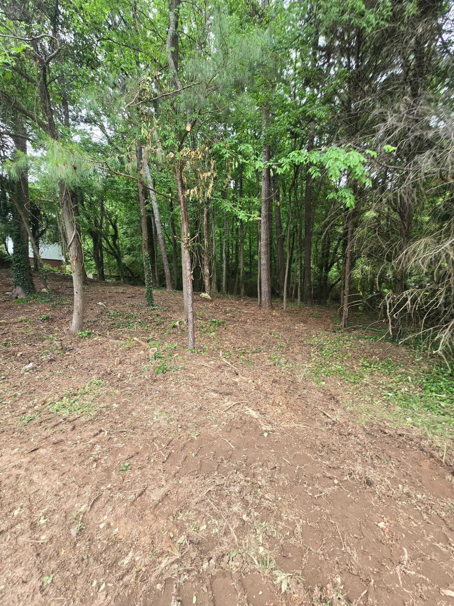 35 Ryman Ridge Road Dalton, GA 30720 - Photo 1 of 6 Gallery Image 1