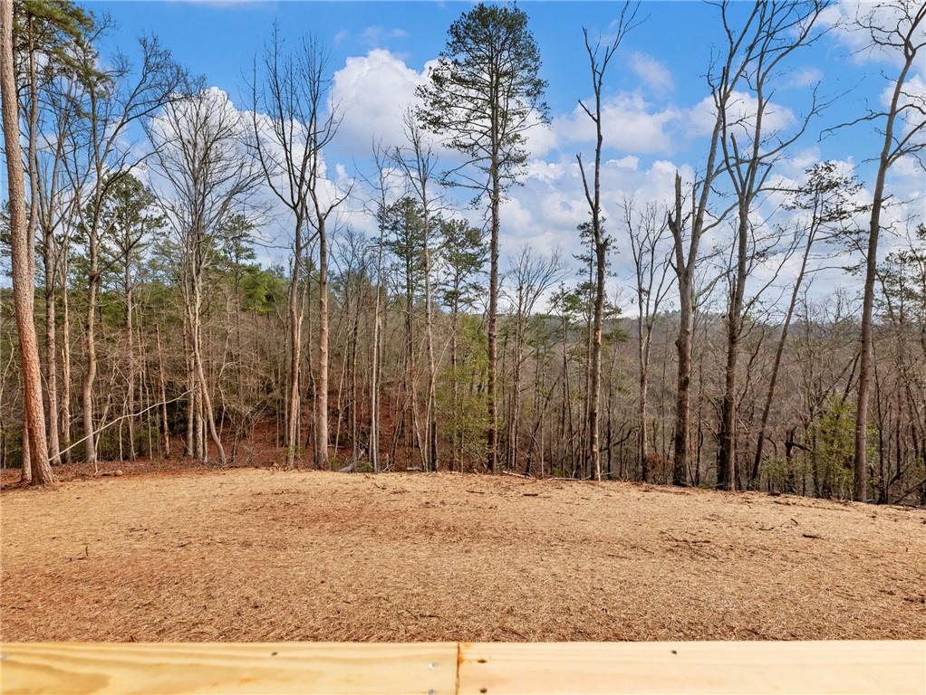7676 Pea Ridge Road Lula, GA 30554 - Photo 33 of 45