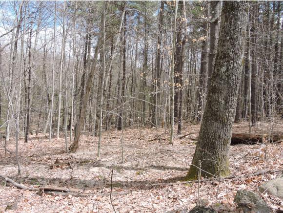 0 Rollins Road Hopkinton, NH 03229 - Photo 2 of 5