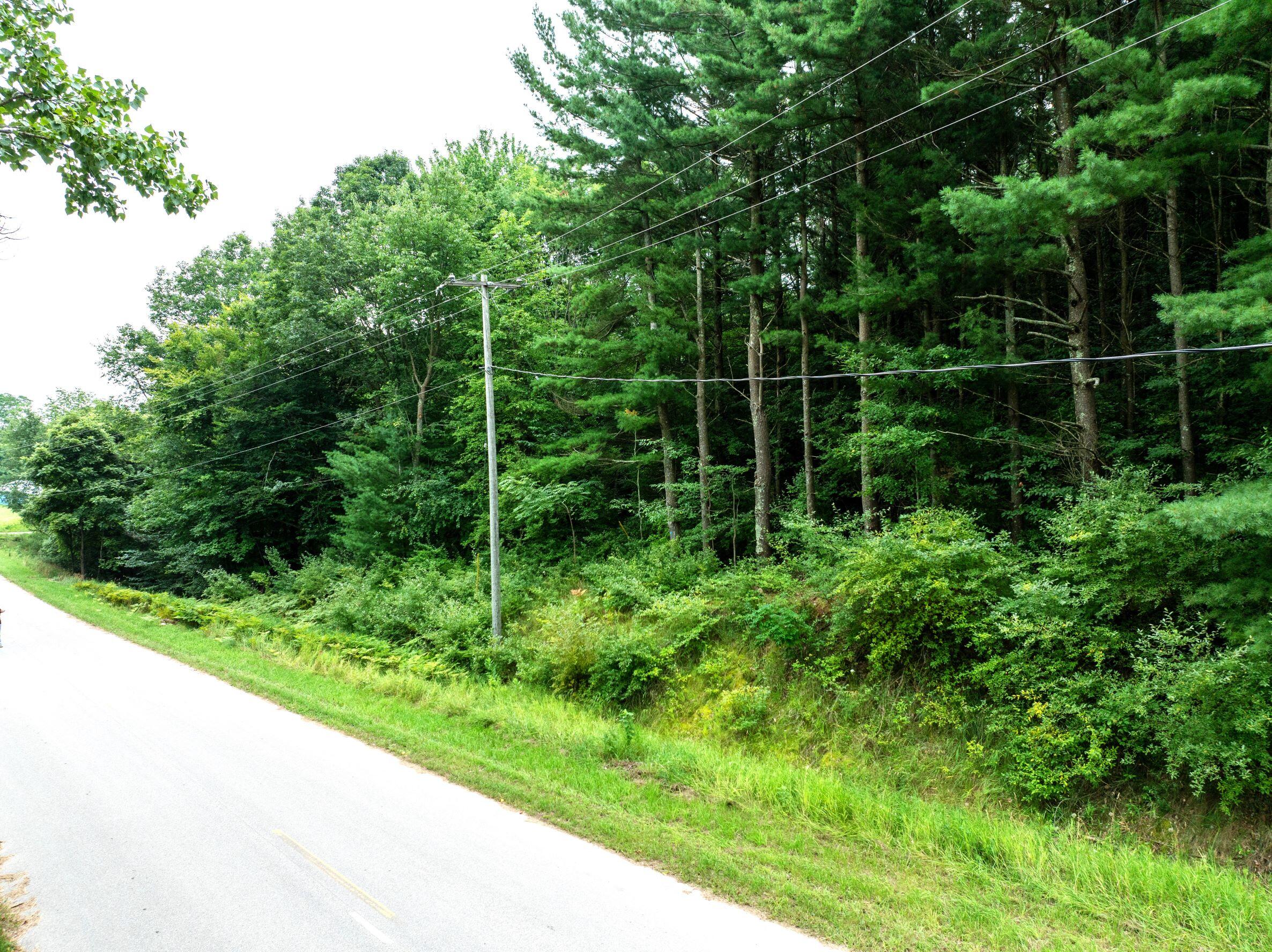 V/l Joseph Road Onekama, MI 49675 - Photo 1 of 21 DJI_20240801143148_0155_D