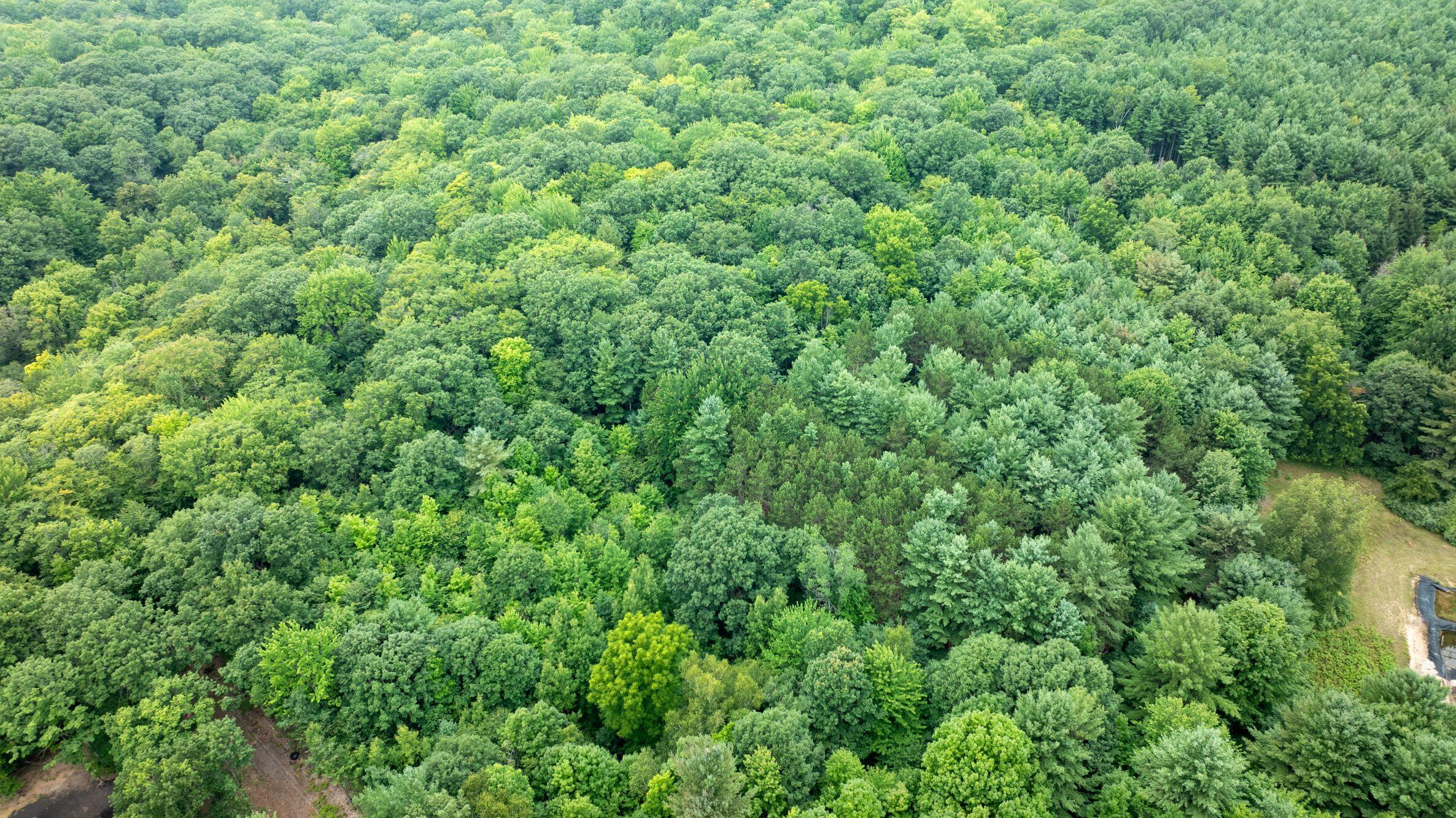 V/l Joseph Road Onekama, MI 49675 - Photo 17 of 21 DJI_20240801144947_0158_D