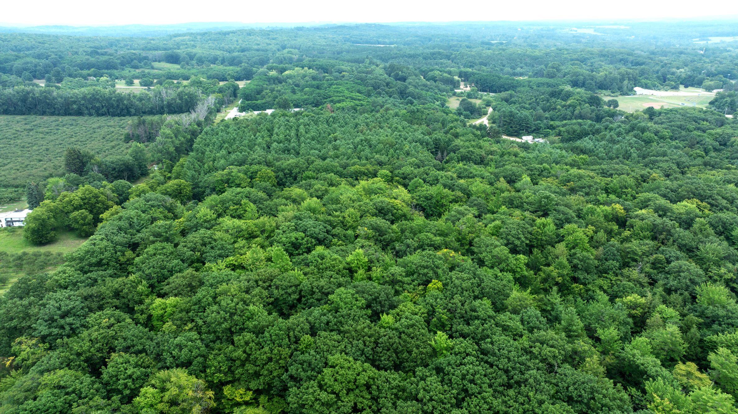 V/l Joseph Road Onekama, MI 49675 - Photo 18 of 21 DJI_20240801145200_0159_D