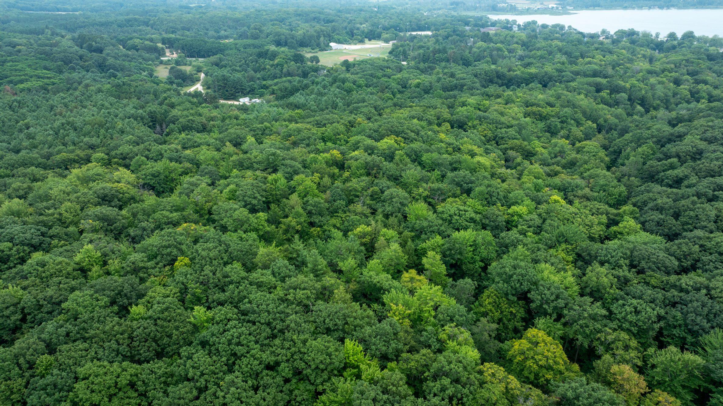 V/l Joseph Road Onekama, MI 49675 - Photo 19 of 21 DJI_20240801145219_0160_D