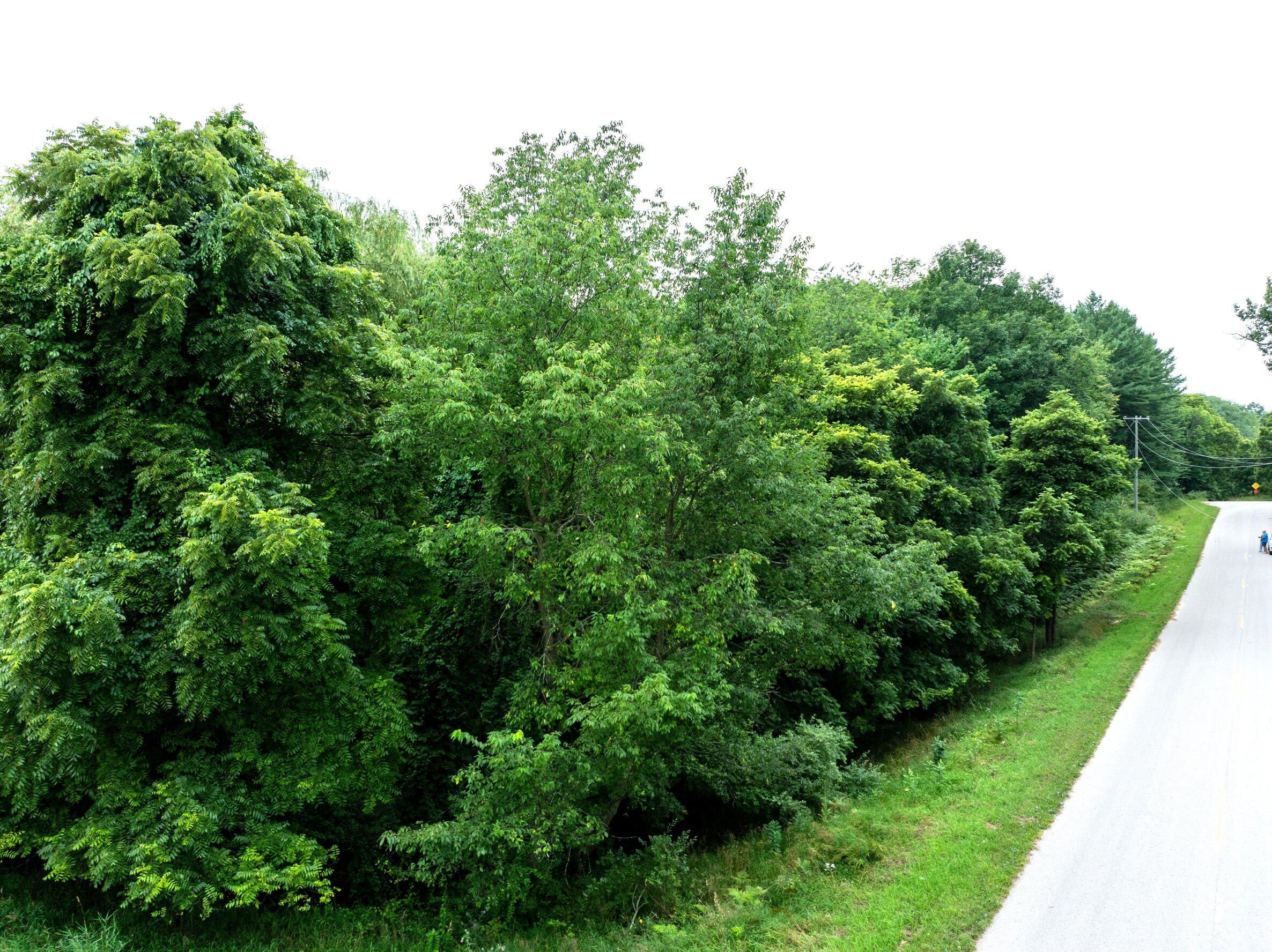 V/l Joseph Road Onekama, MI 49675 - Photo 2 of 21 DJI_20240801142425_0148_D