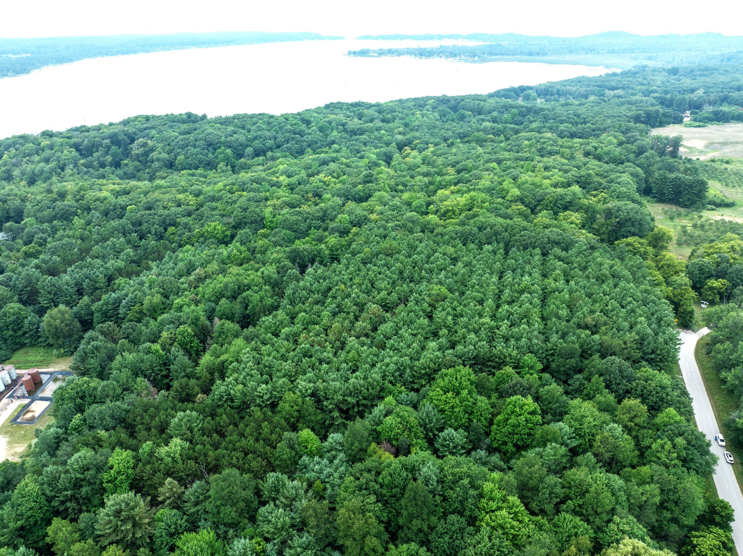 V/l Joseph Road Onekama, MI 49675 - Photo 3 of 21 DJI_20240801142843_0153_D