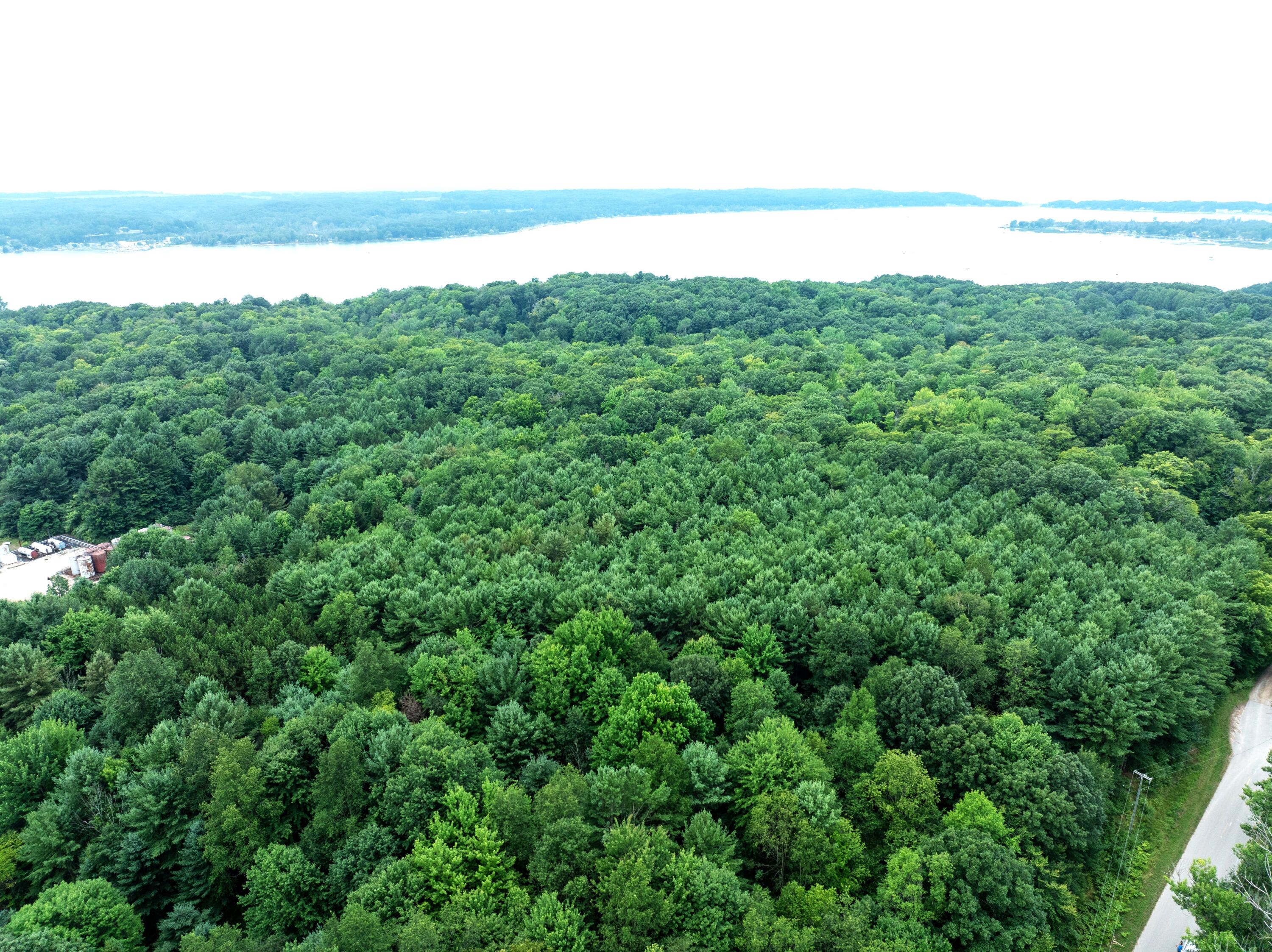 V/l Joseph Road Onekama, MI 49675 - Photo 4 of 21 DJI_20240801142517_0149_D