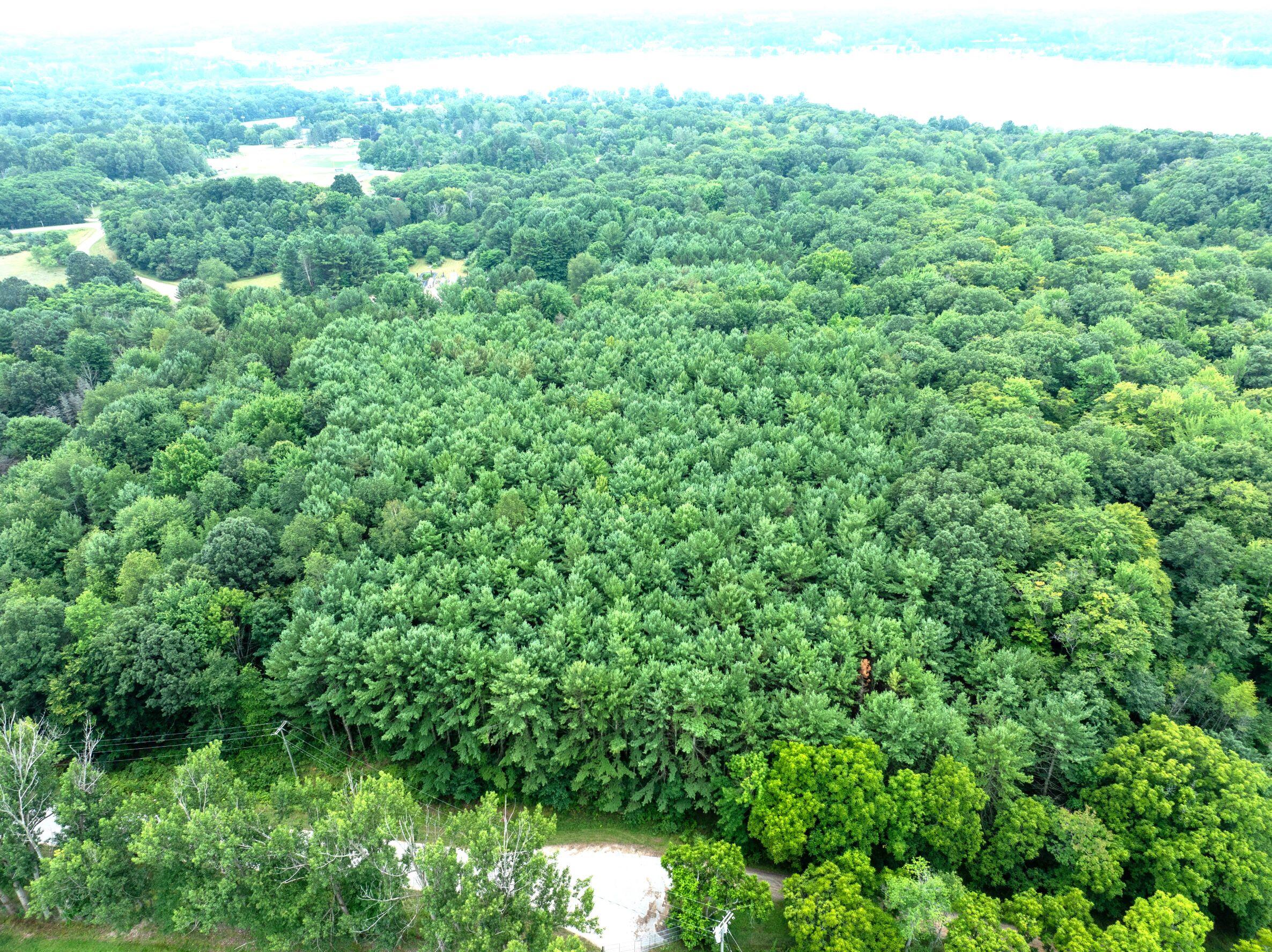 V/l Joseph Road Onekama, MI 49675 - Photo 5 of 21 DJI_20240801142605_0150_D