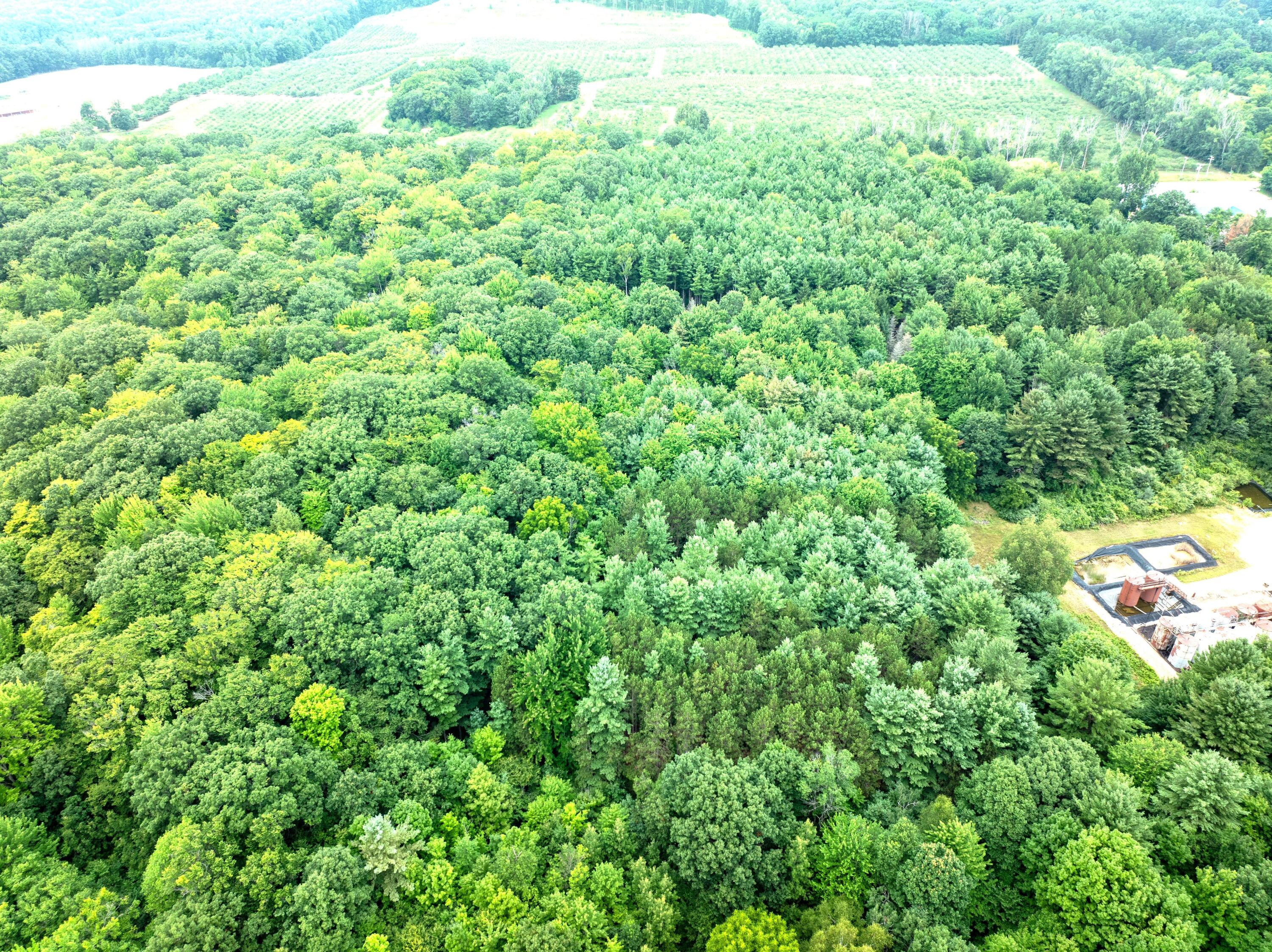 V/l Joseph Road Onekama, MI 49675 - Photo 6 of 21 DJI_20240801142727_0151_D