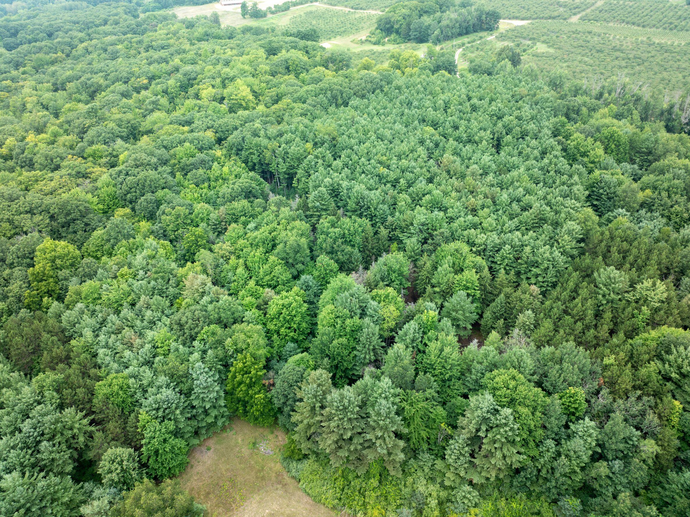 V/l Joseph Road Onekama, MI 49675 - Photo 7 of 21 DJI_20240801142757_0152_D