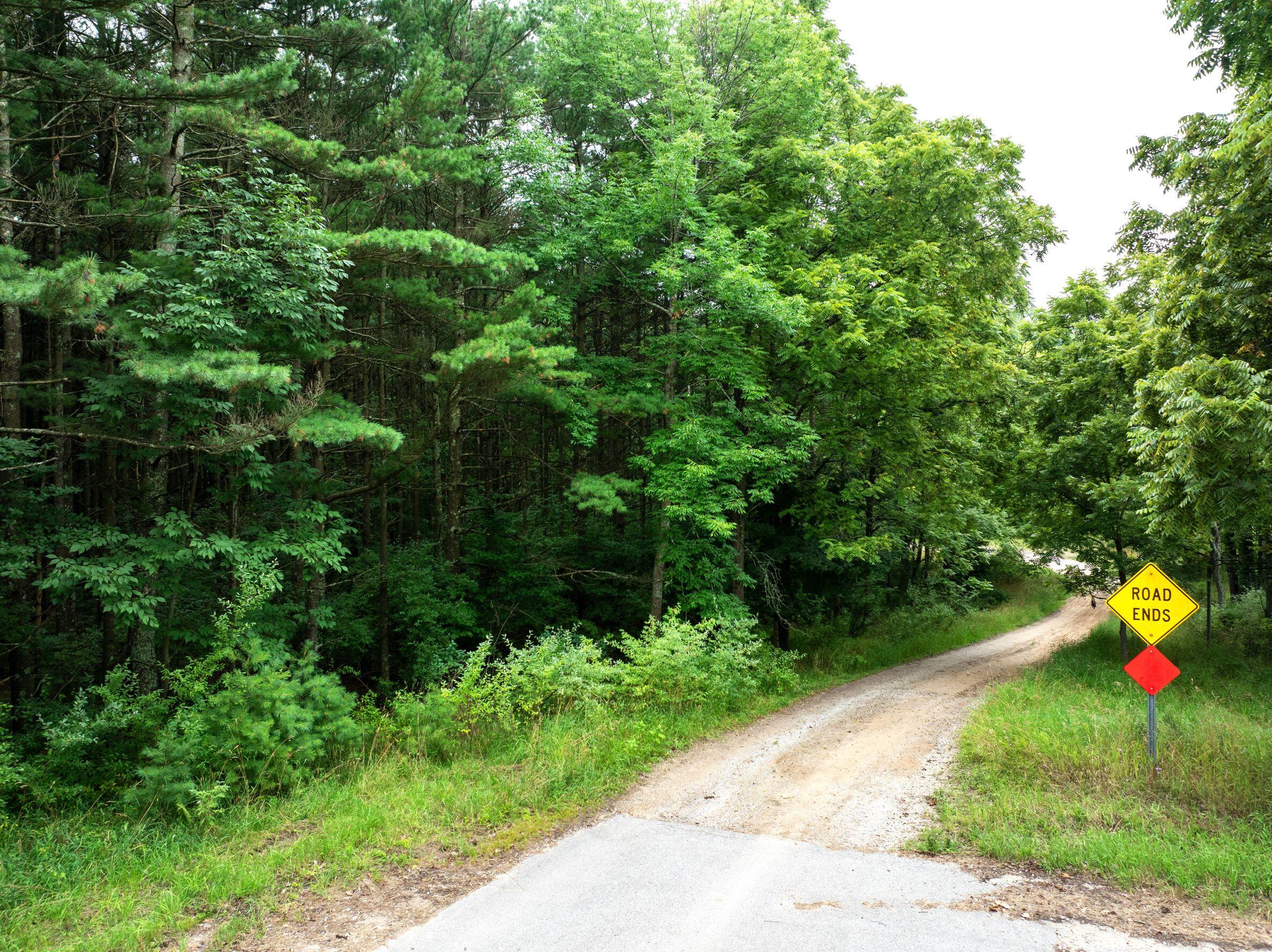 V/l Joseph Road Onekama, MI 49675 - Photo 8 of 21 DJI_20240801143022_0154_D